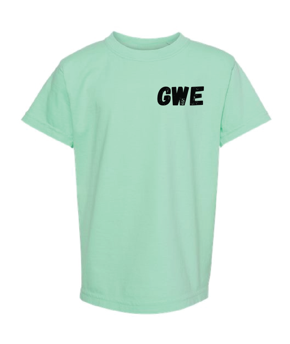 gwe5-15.png