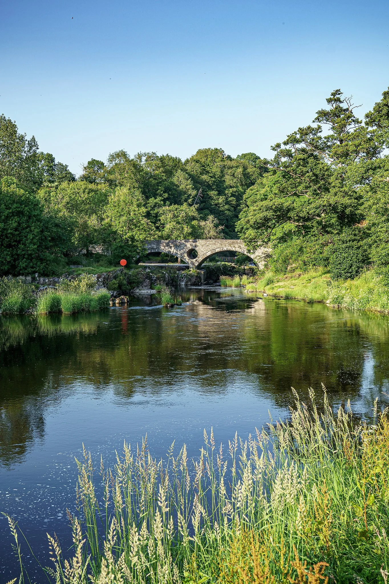 309_021- WPstock_web_SS.JPG