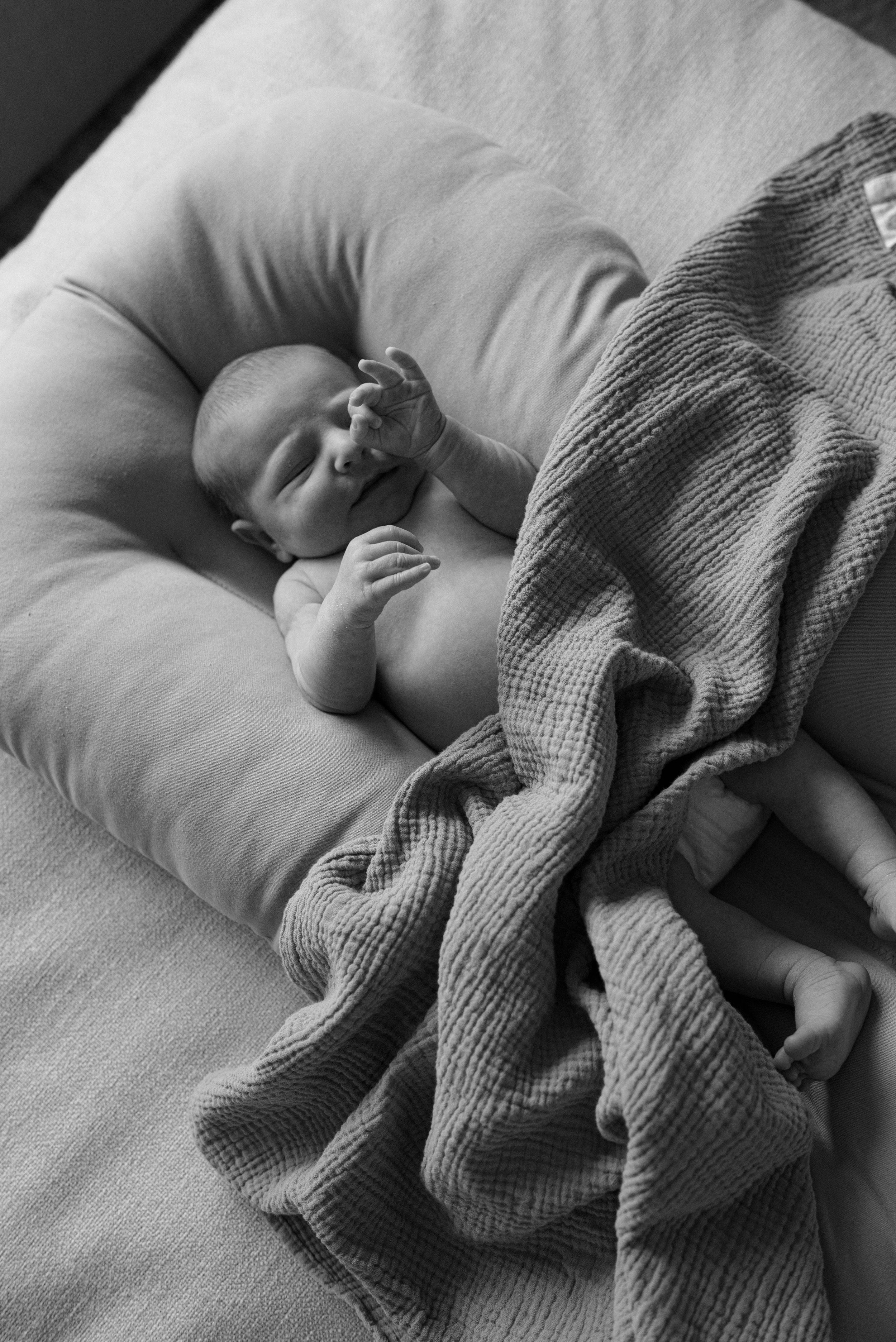 Bozeman Montana Lifestyle Family and Newborn Photographer