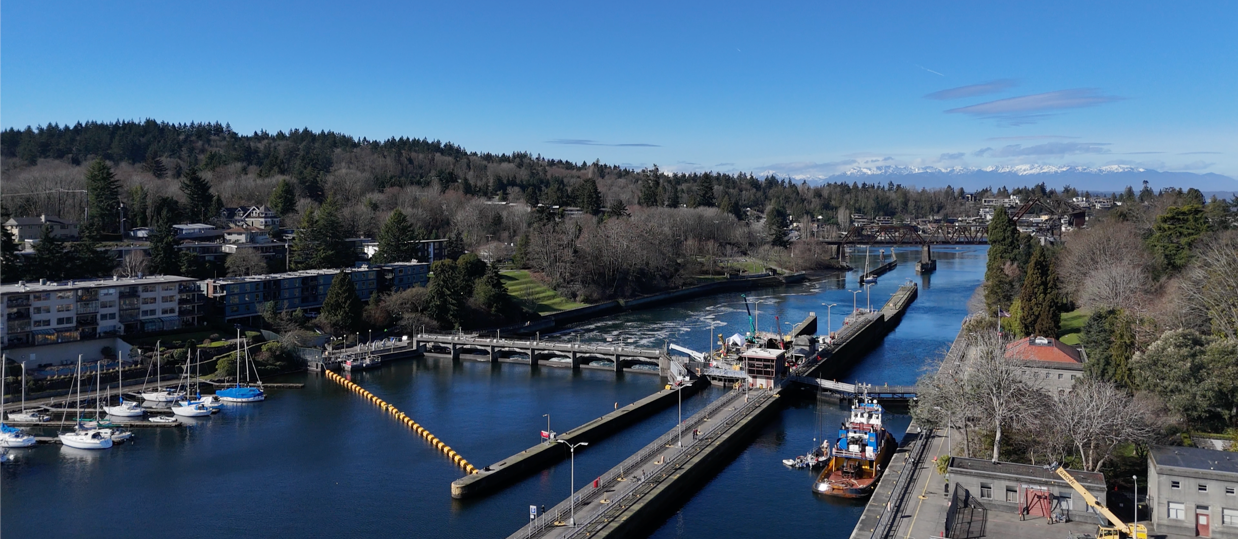 Screenshot 2025-08-14 at 11.27.00.png