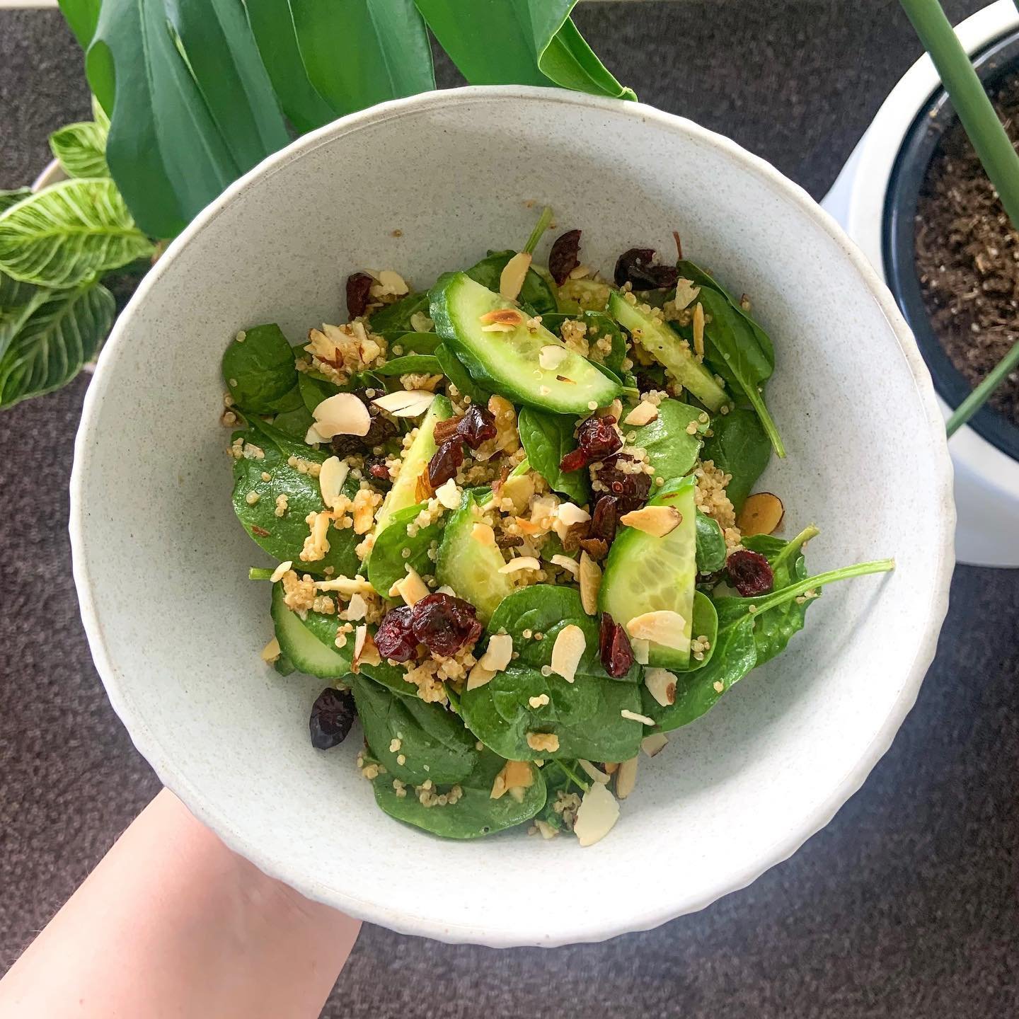 Quinoa, almond and cranberry salad 🥗⭐️
 
It&rsquo;s been a while since I shared a new salad recipe to here we go! This salad is perfect to take to work for lunch and of course it&rsquo;s gluten and dairy free! Recipe below:
 
 
1 cup cooked quinoa
6