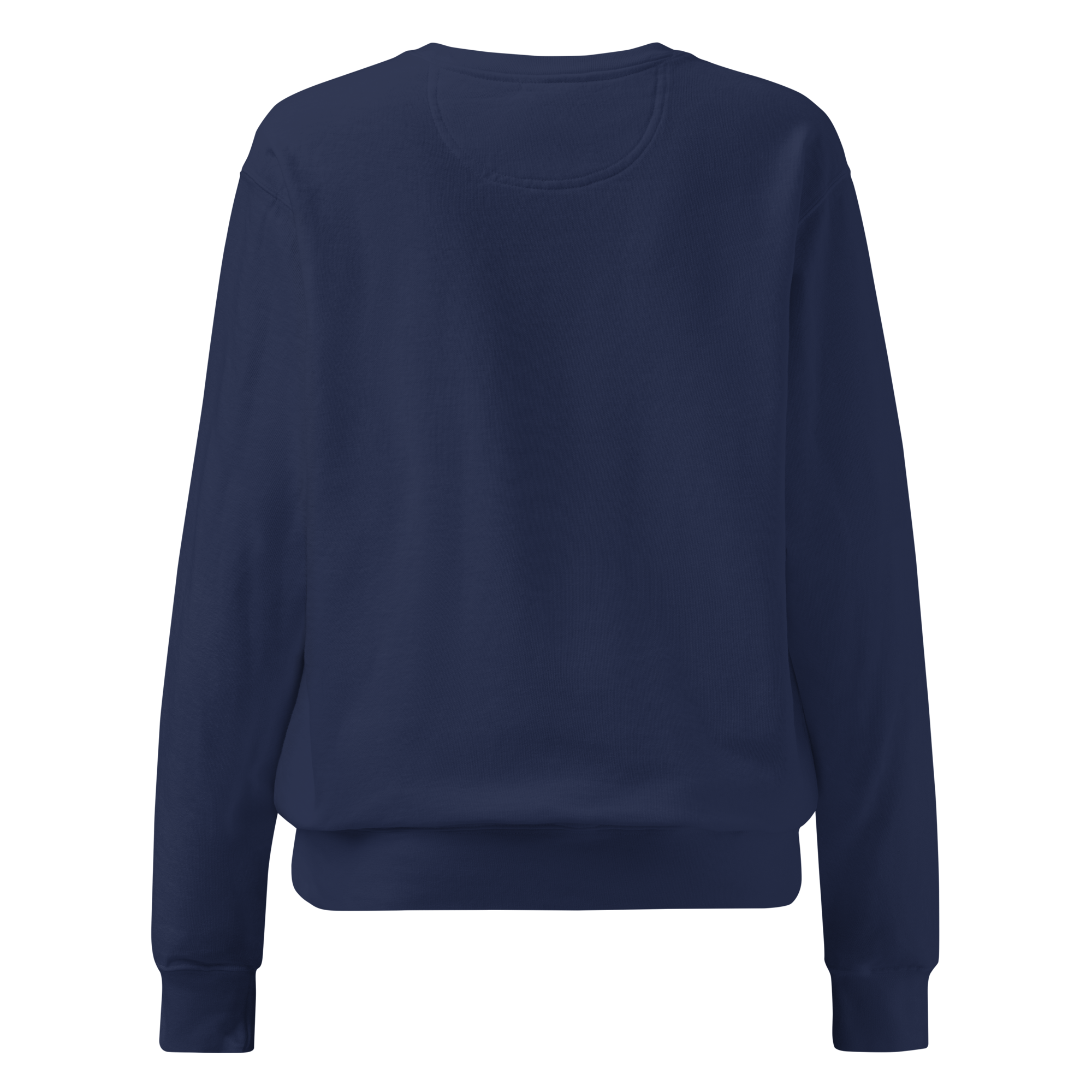 unisex-garment-dyed-sweatshirt-true-navy-back-6a15fe79ca713.png