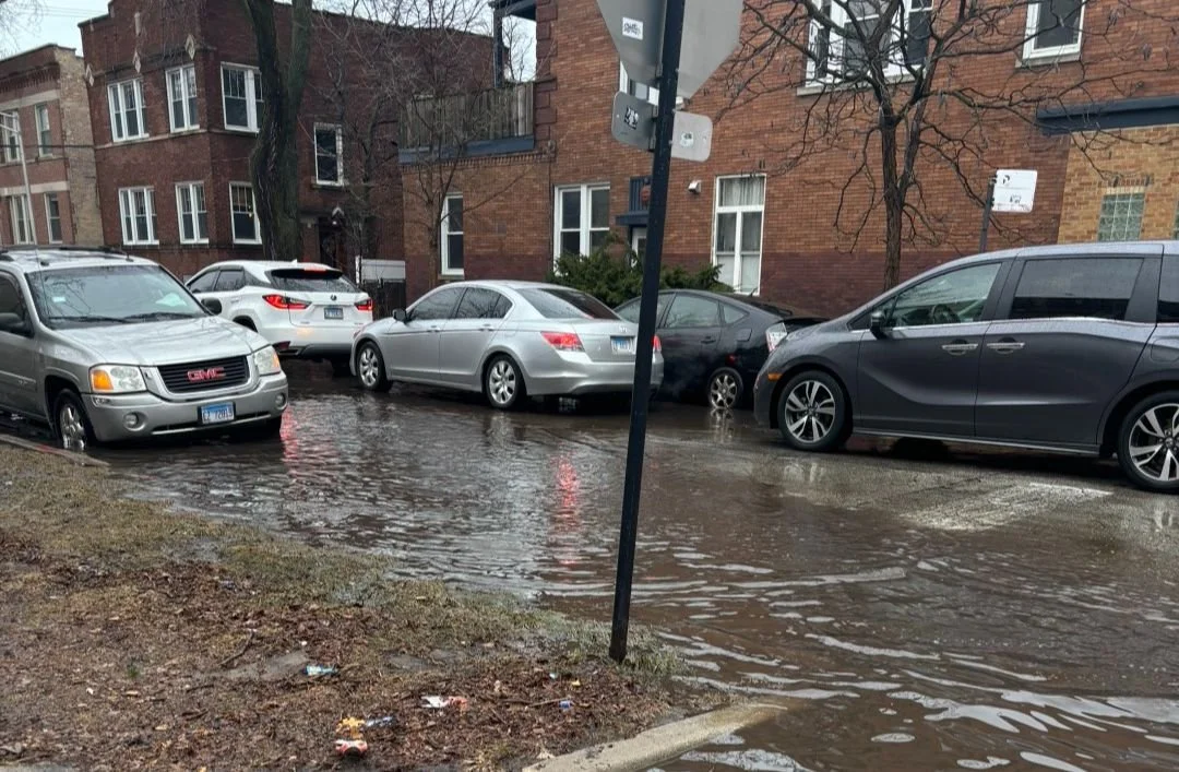 cars in standing water on a residential street
