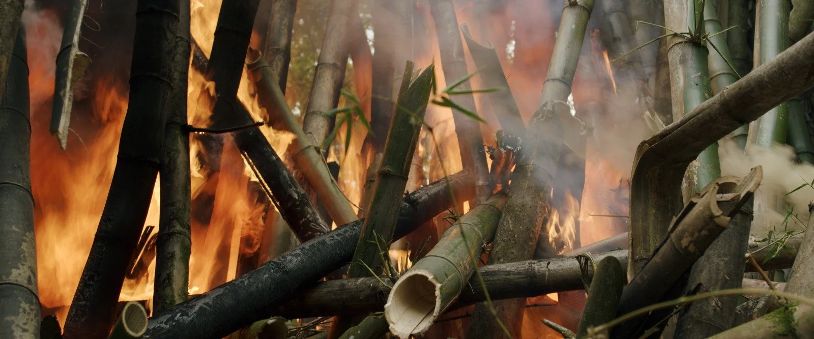 BURNING BAMBOO JA 2021.JPG
