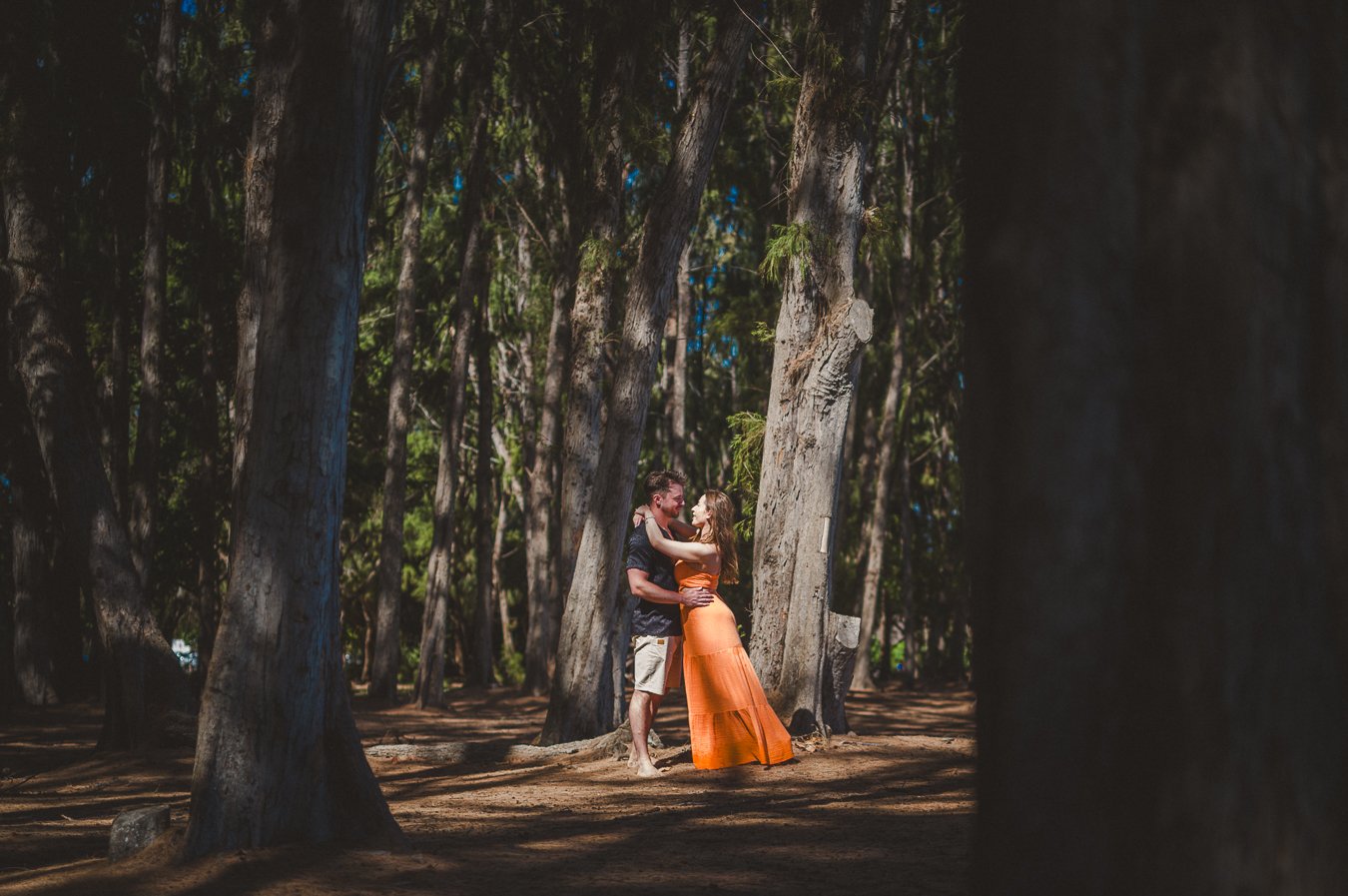 Here&rsquo;s to new beginnings, endless love, and the fabulous &ldquo;yes&rdquo;! https://waileaportrait.com
#MauiEngagement #mauiengagementphotographer #mauiphotographer