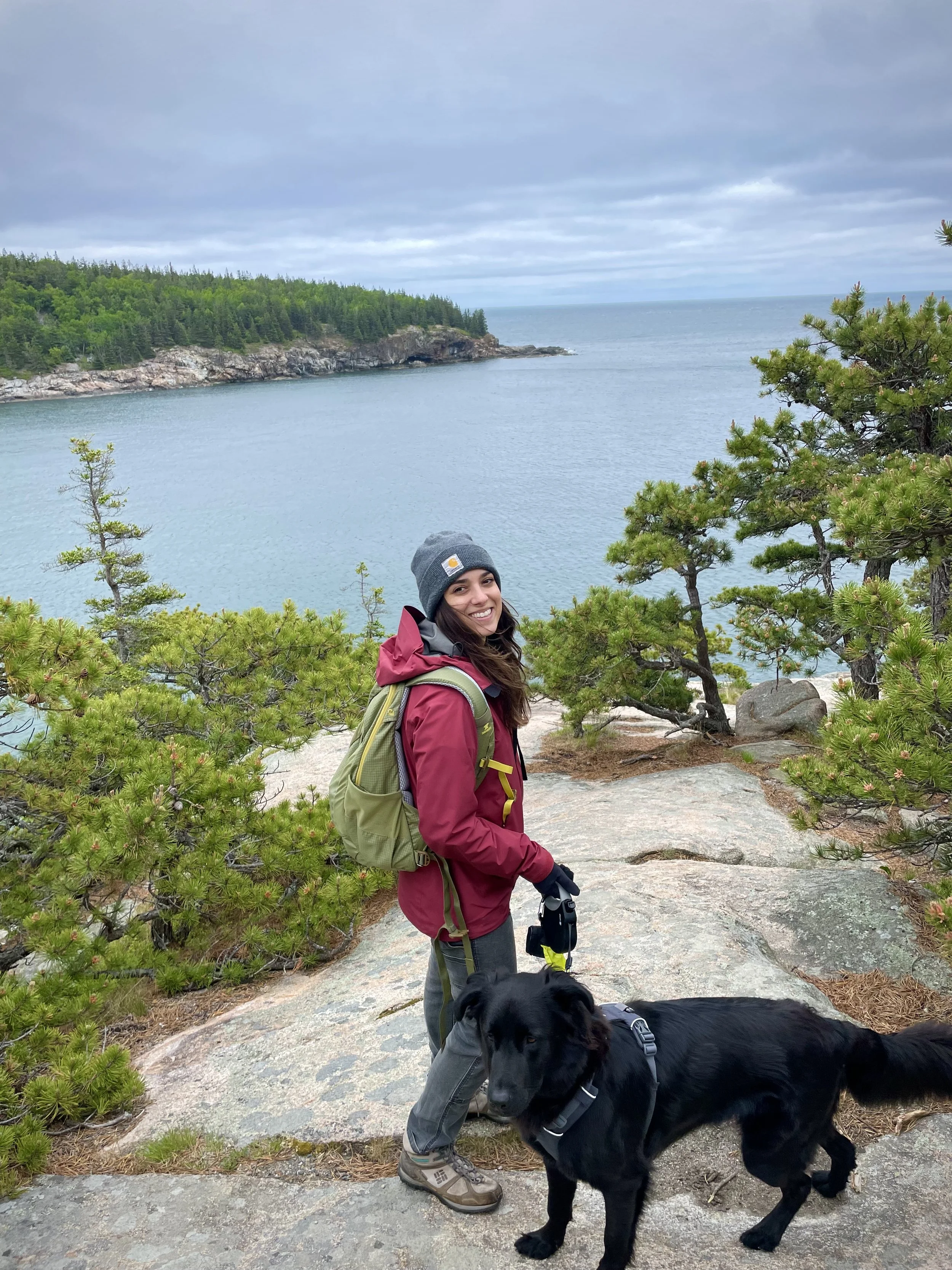 Freelance Marketing Bar Harbor Maine