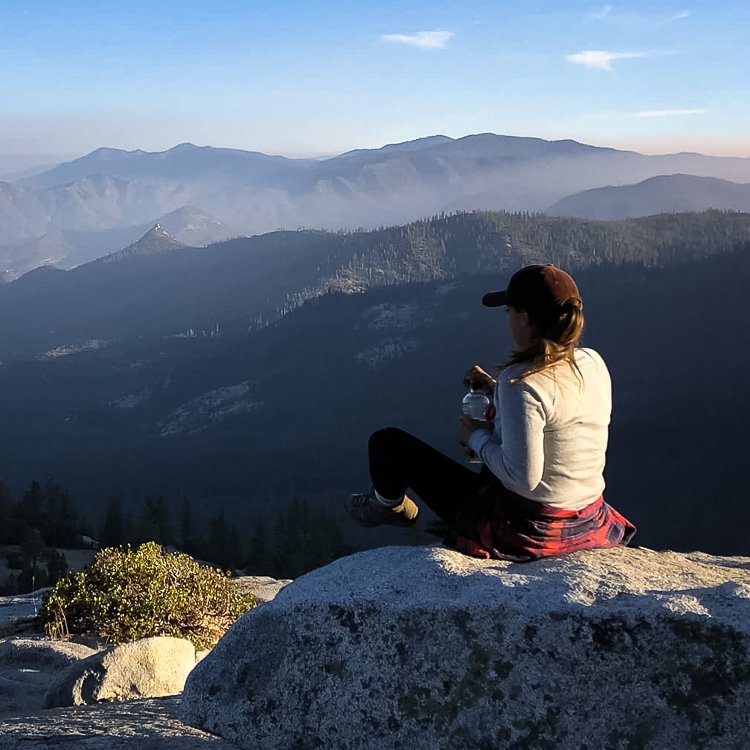 Remote Work Sequoia National Forest