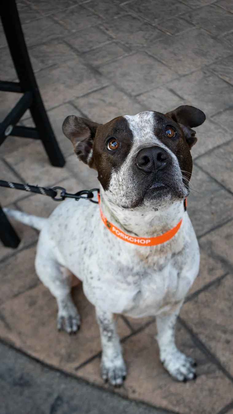 porkchop-tucks-patio.jpg