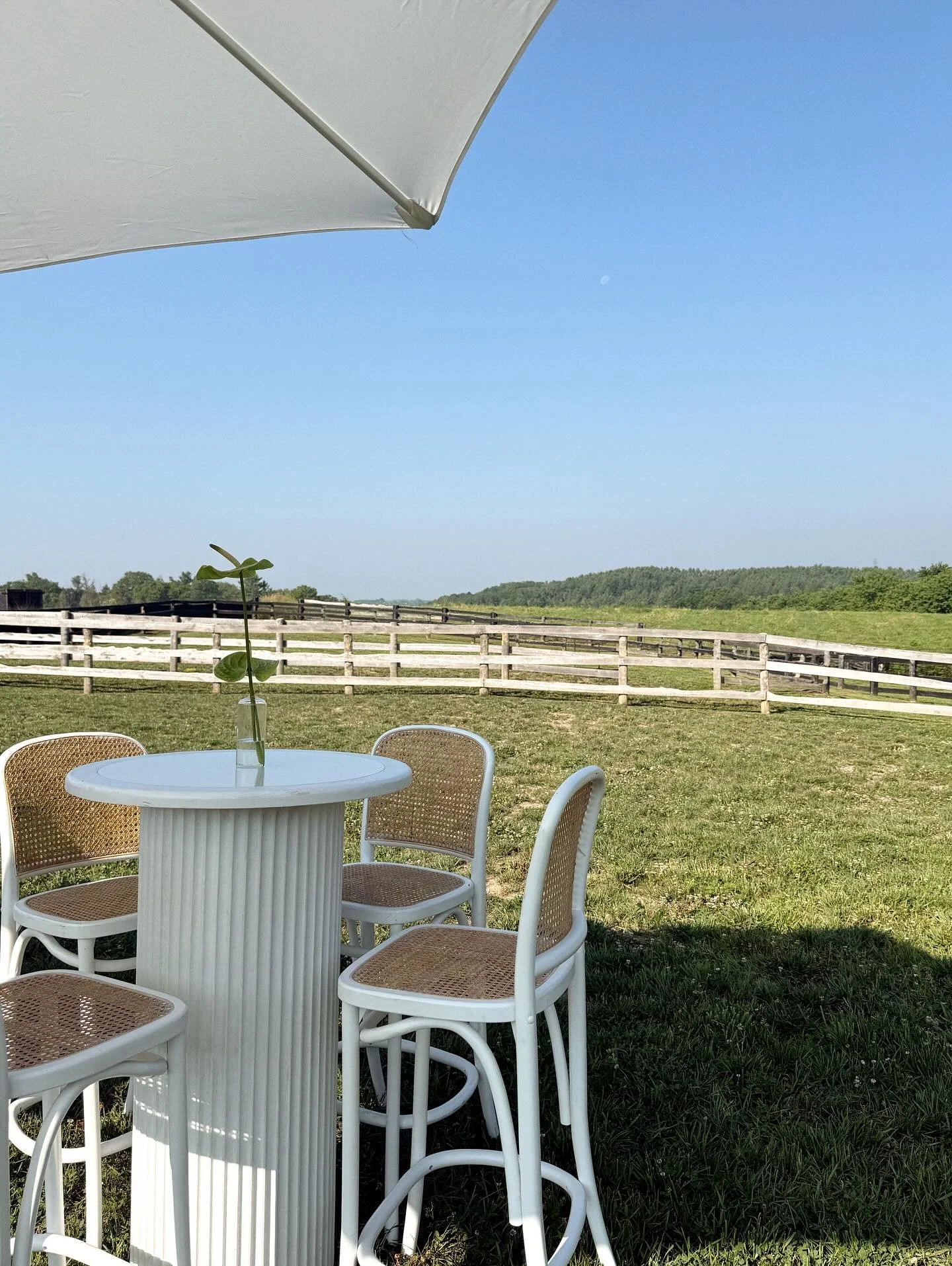 A day on the farm with @chimeracollective for @haven.greens 🐴🥬🌱

Bev Partner: @freshouse.juicebar 
Florals: @juicybloomsdesigns 
Food: @r___anch 

#BrandActivation #EventDesign #ExperientialMarketing #BrandExperience #EventMarketing #CreativeStudi