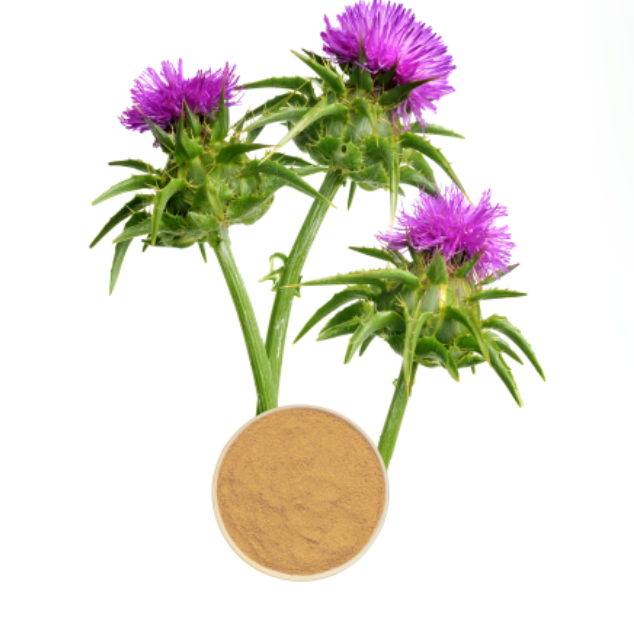 Milk Thistle Extract