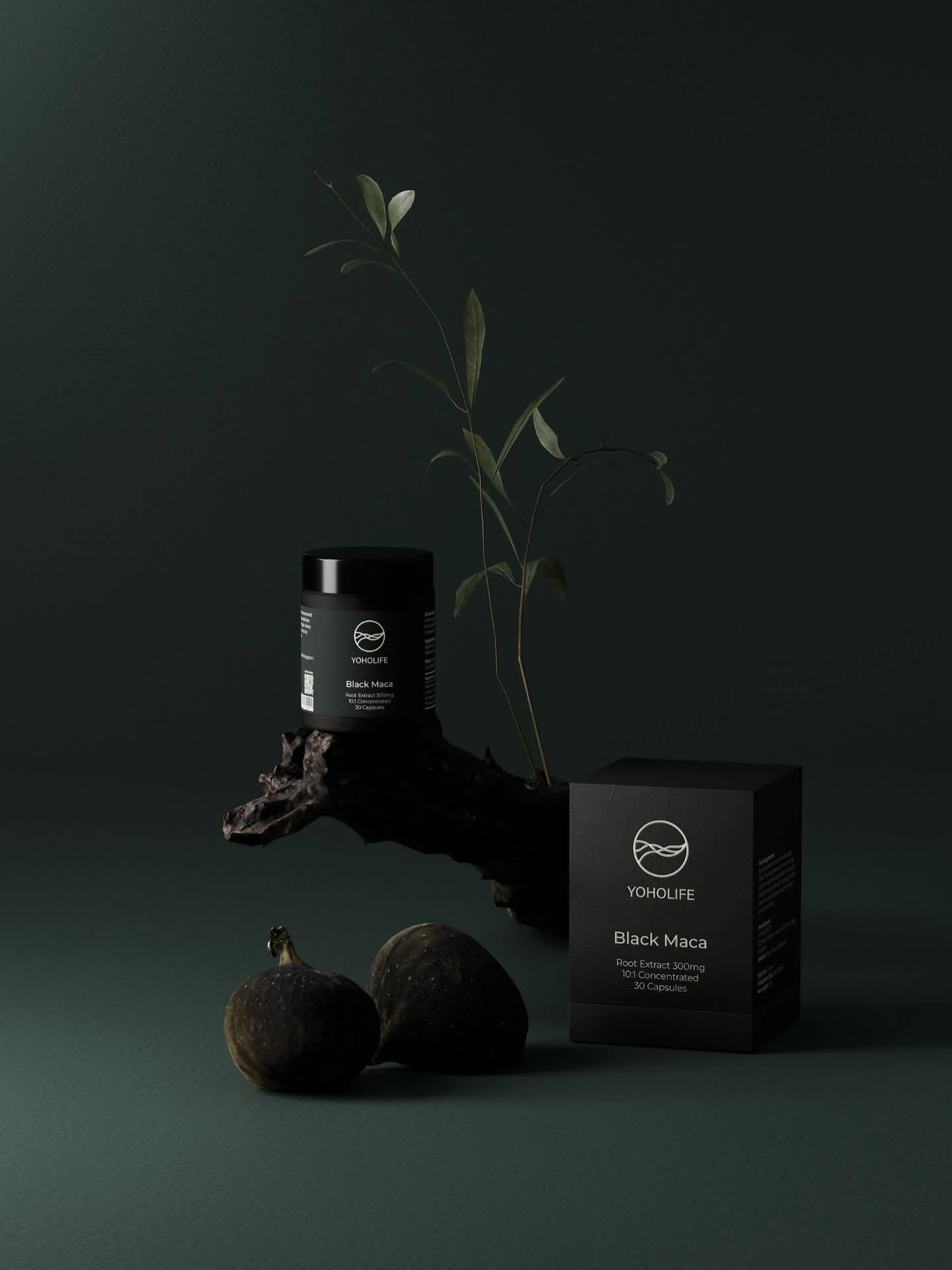 The Ritual of Vitality
Grown in the Andes. Refined in our Lab.

Our Black Maca extract begins in the mineral-rich soils of the Peruvian highlands &mdash; where roots grow deep to survive cold, wind, and time. Revered for centuries as a source of stam