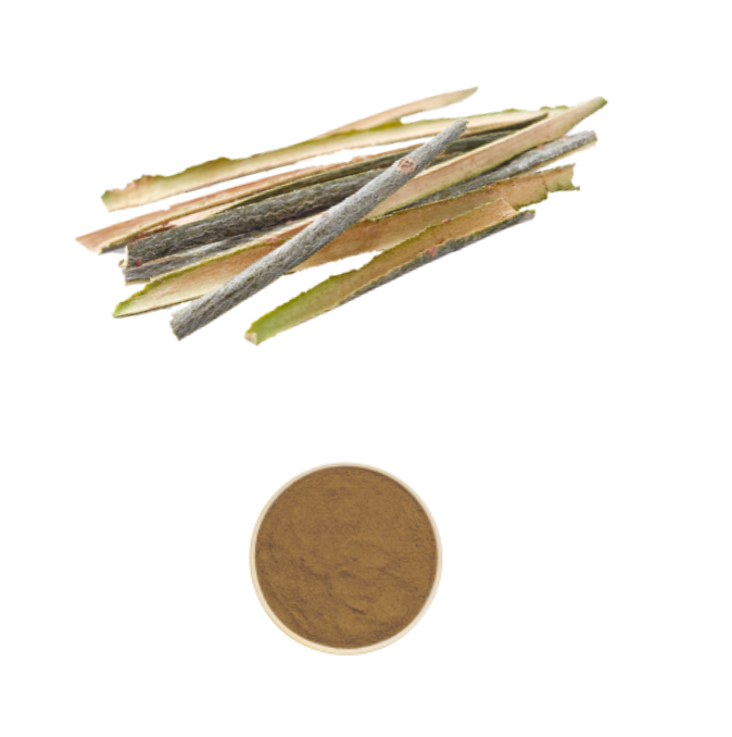Willow Bark Extract