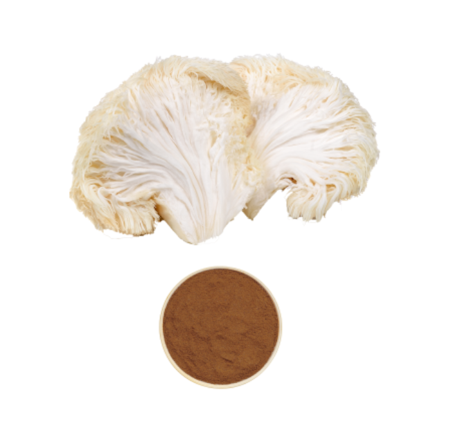 Lion’s Mane Extract