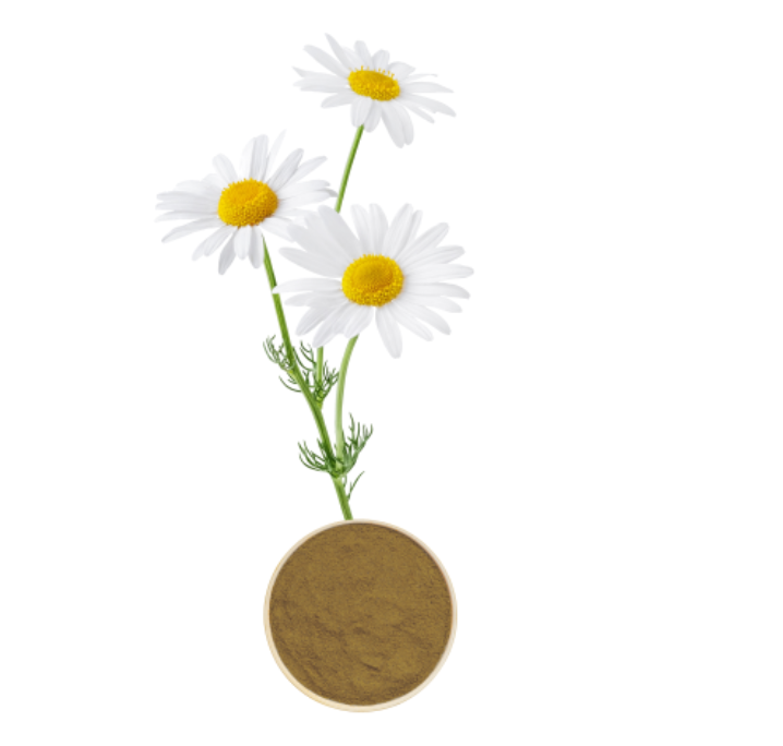 Chamomile Extract