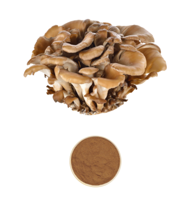 Maitake Extract