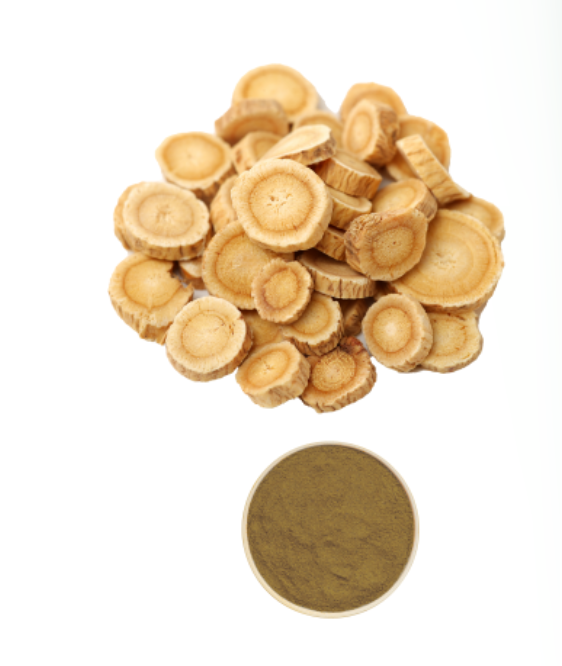 Astragalus Root & Stem Extract