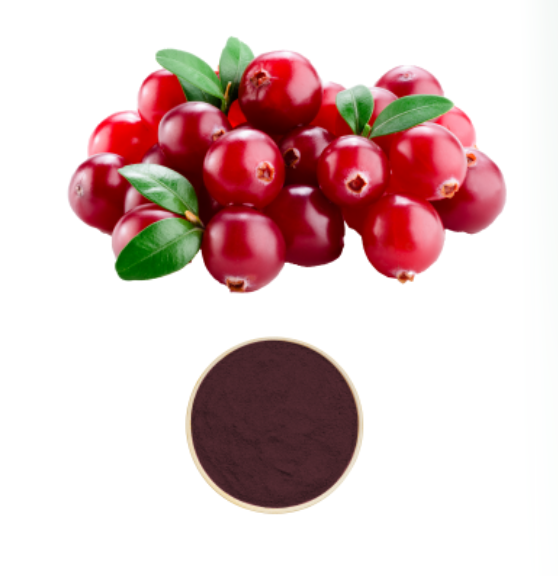 Cranberry Extract