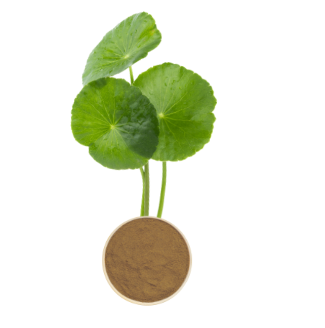 Centella Asiatica Extract