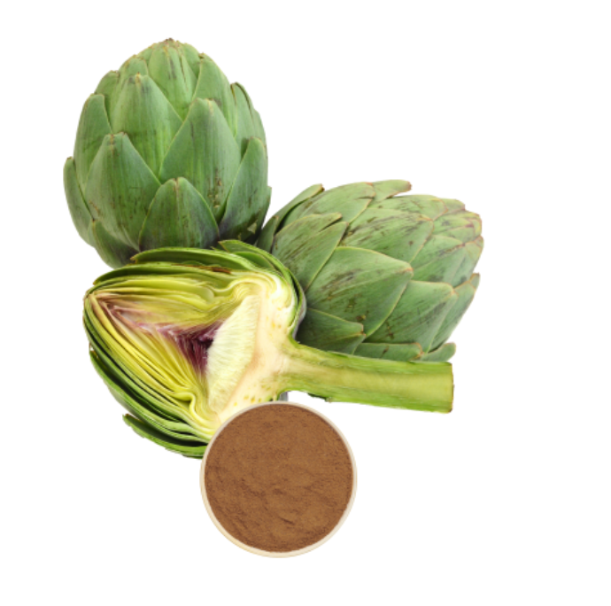 Artichoke Extract