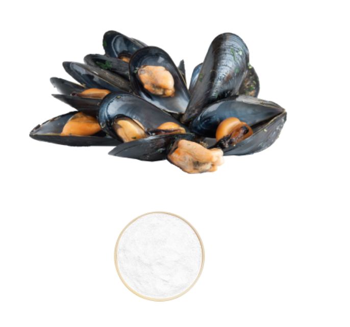 Mussel Extract (Green-Lipped Mussel)