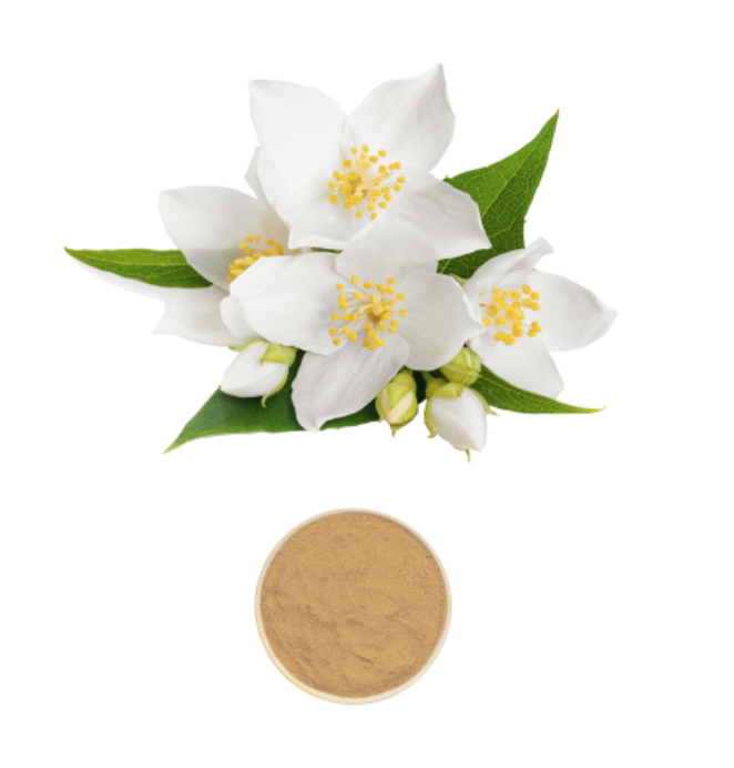 Jasmine Extract