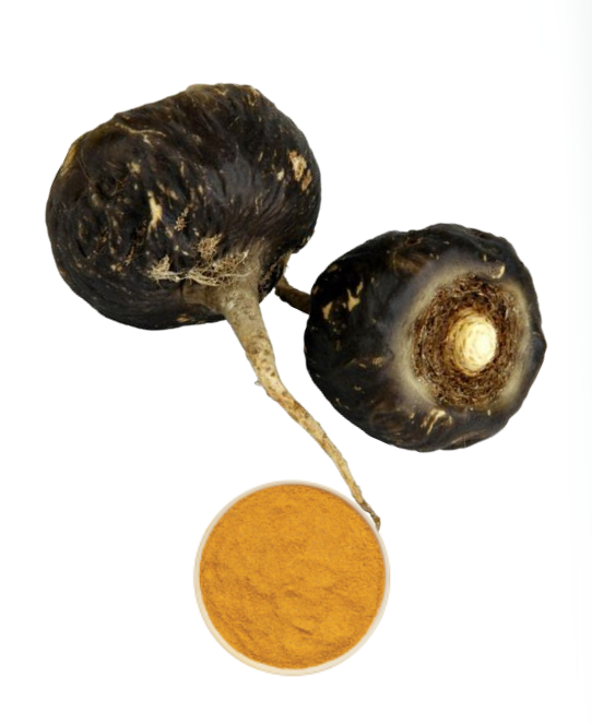Black Maca Extract