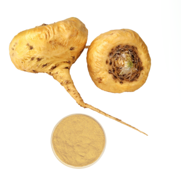 Yellow Maca Extract