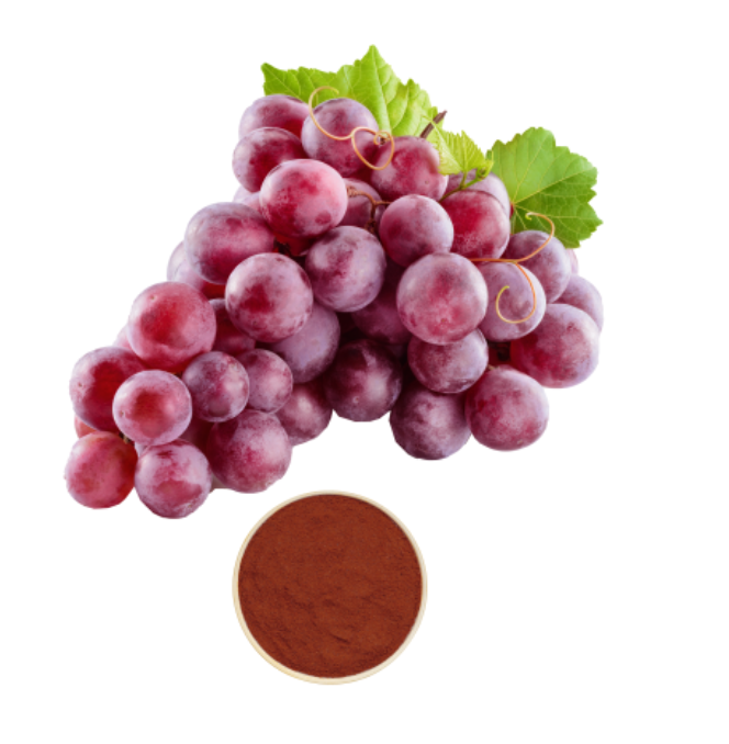 Grape Seed Extract