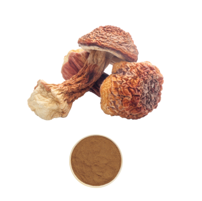 Agaricus Blazei Extract