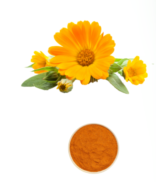 Calendula Extract