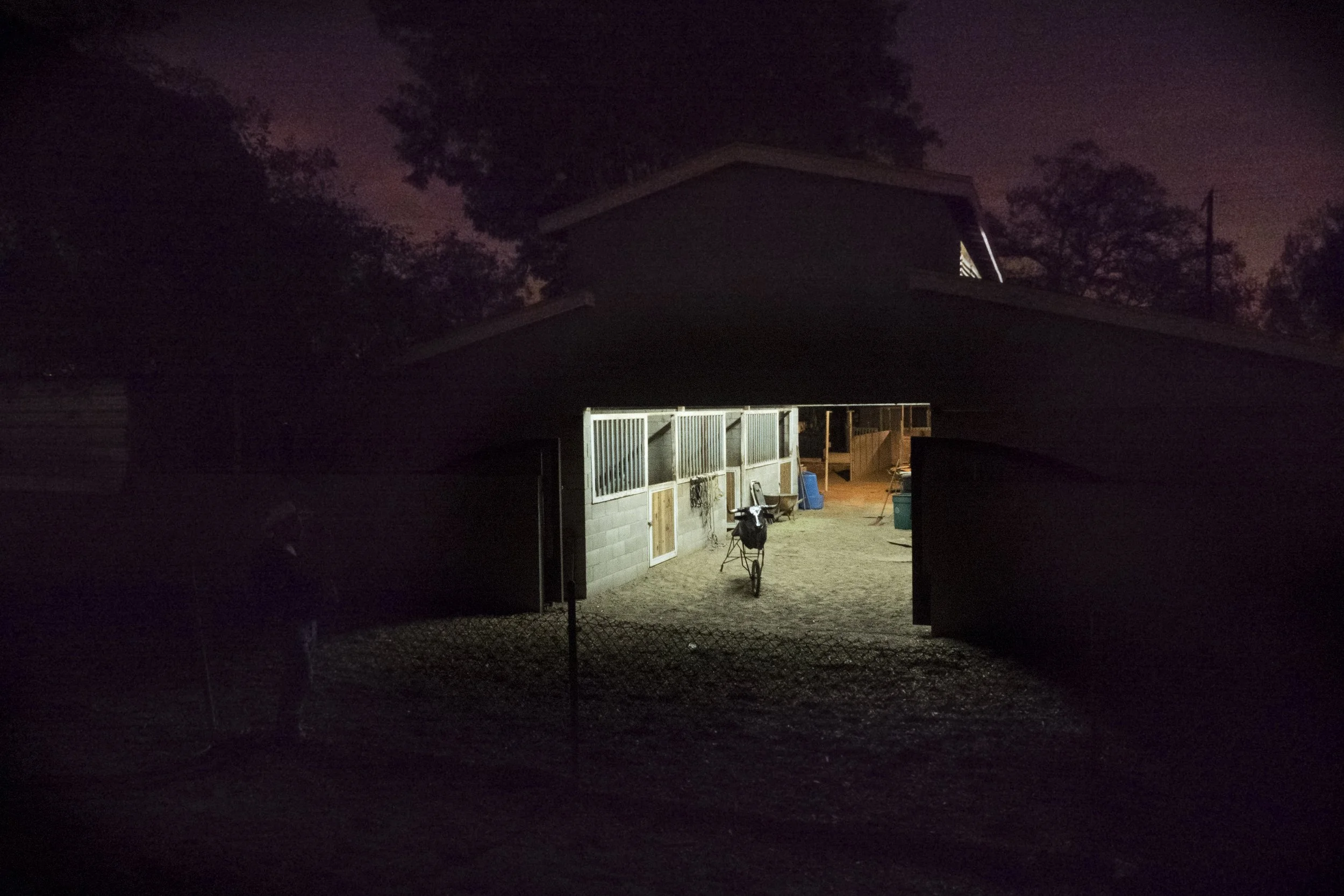 _B121526 fake cow.jpg