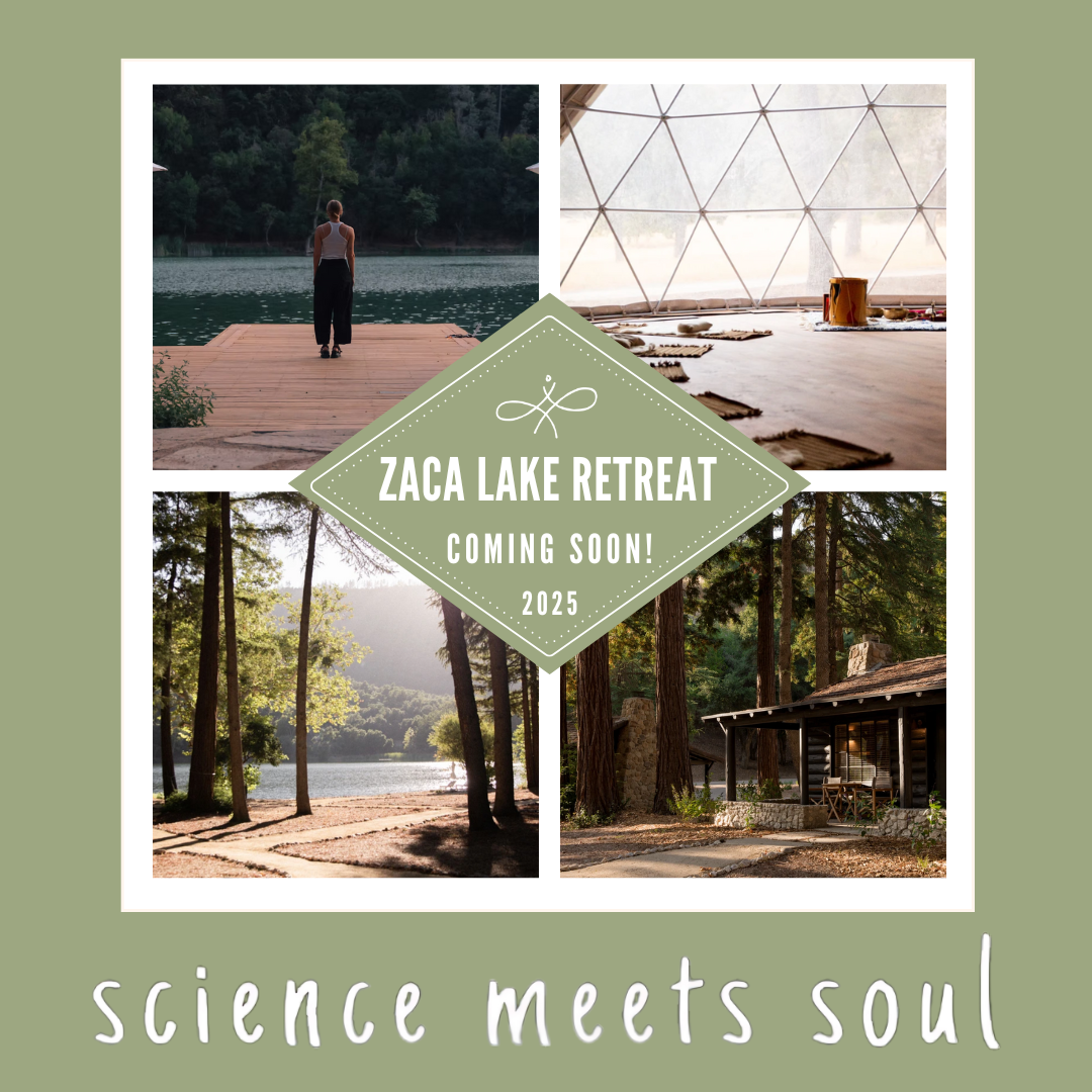 Pale Blue Beige Photo Collage Travel Adventure Animated Instagram Post (Square).png