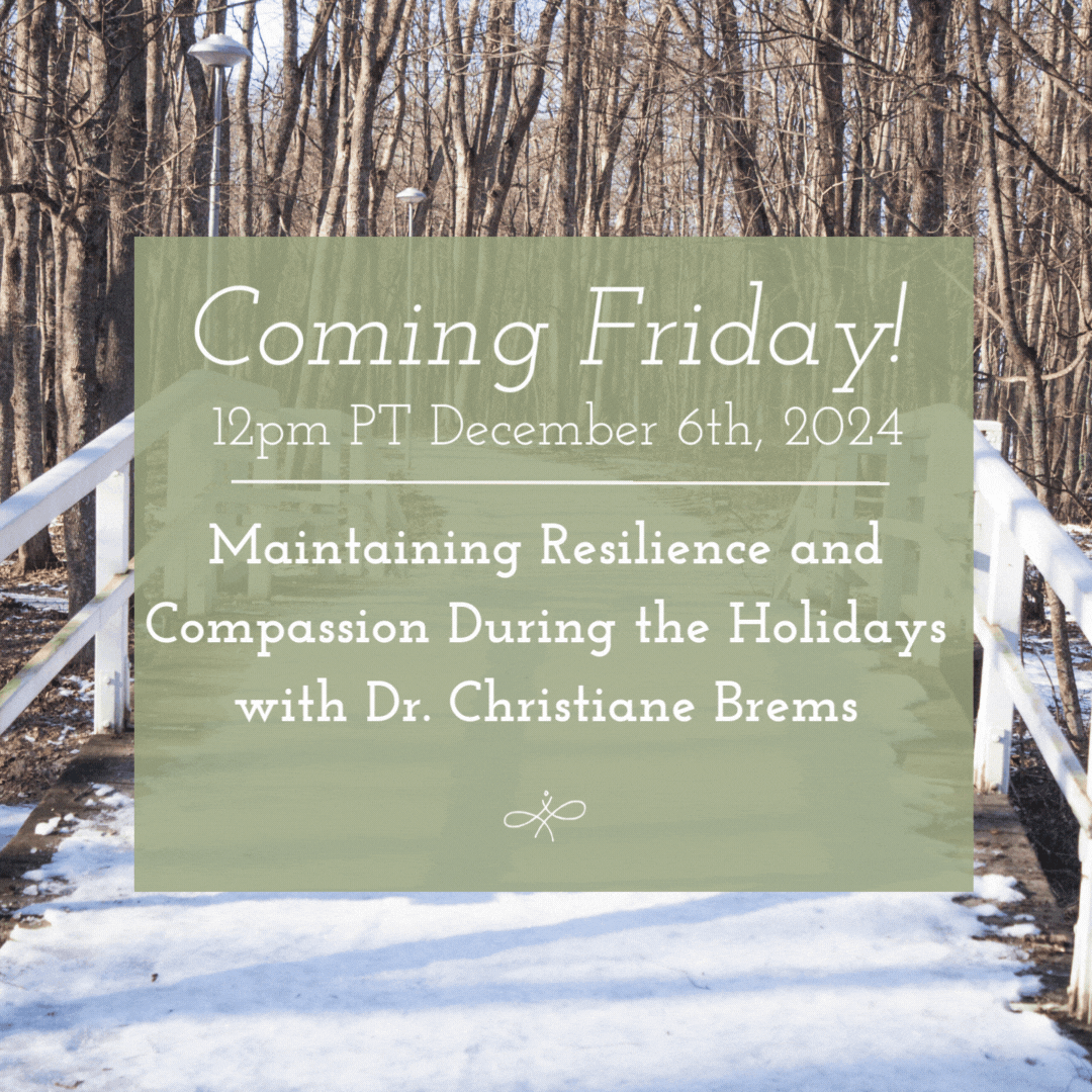 Holiday Stress workshop Post .gif