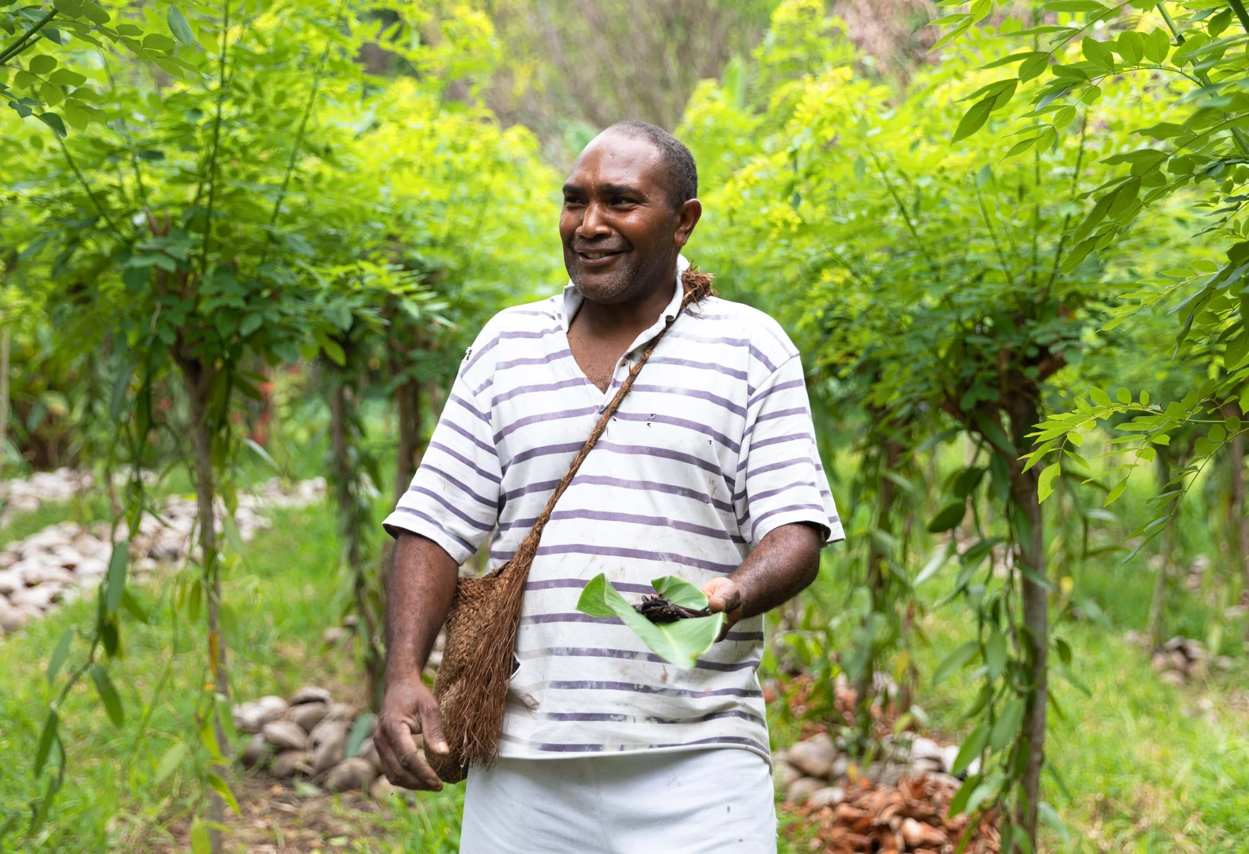 Vanuatu Local Farmer