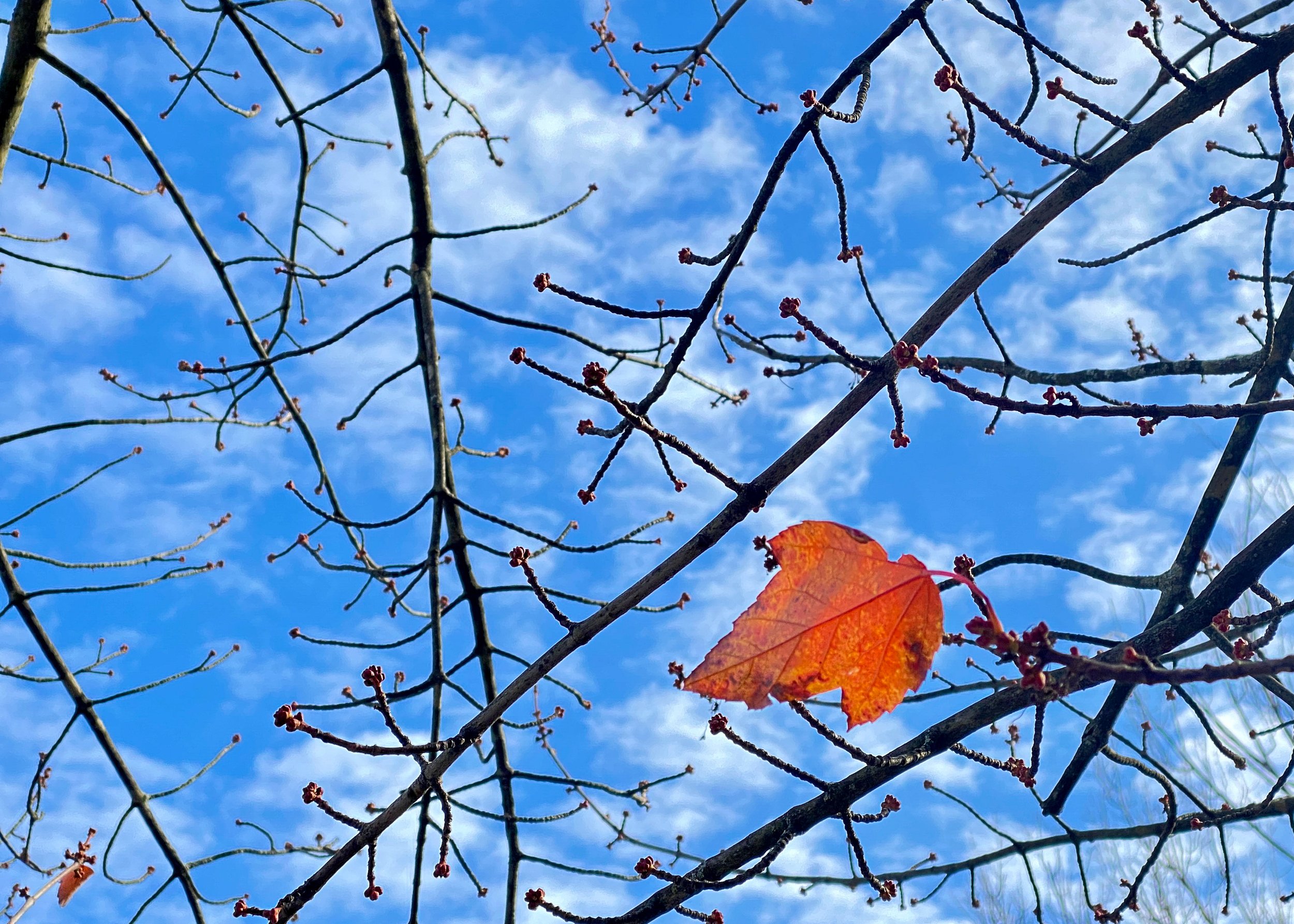 IMG_2797-edited.jpg