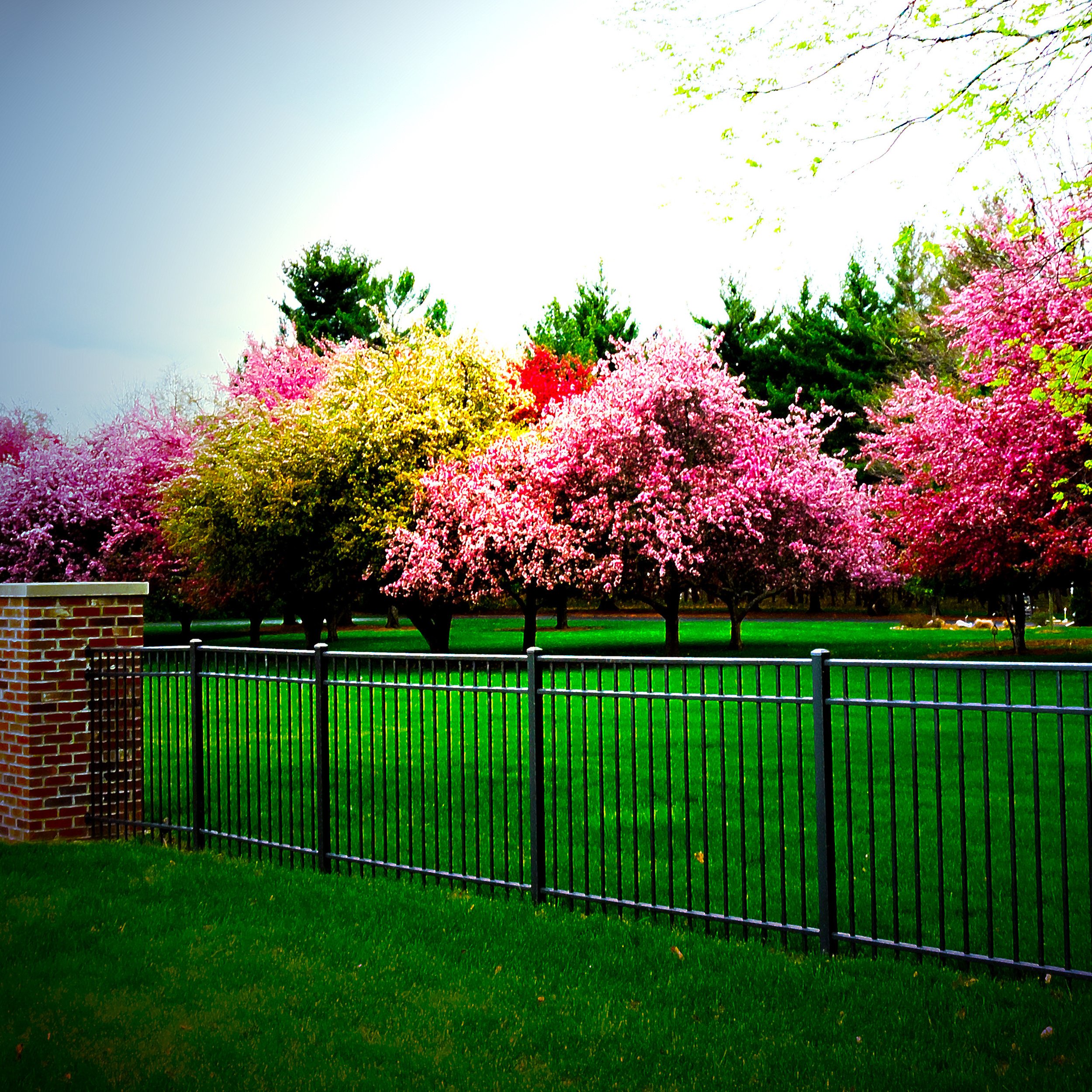 Gated Garden