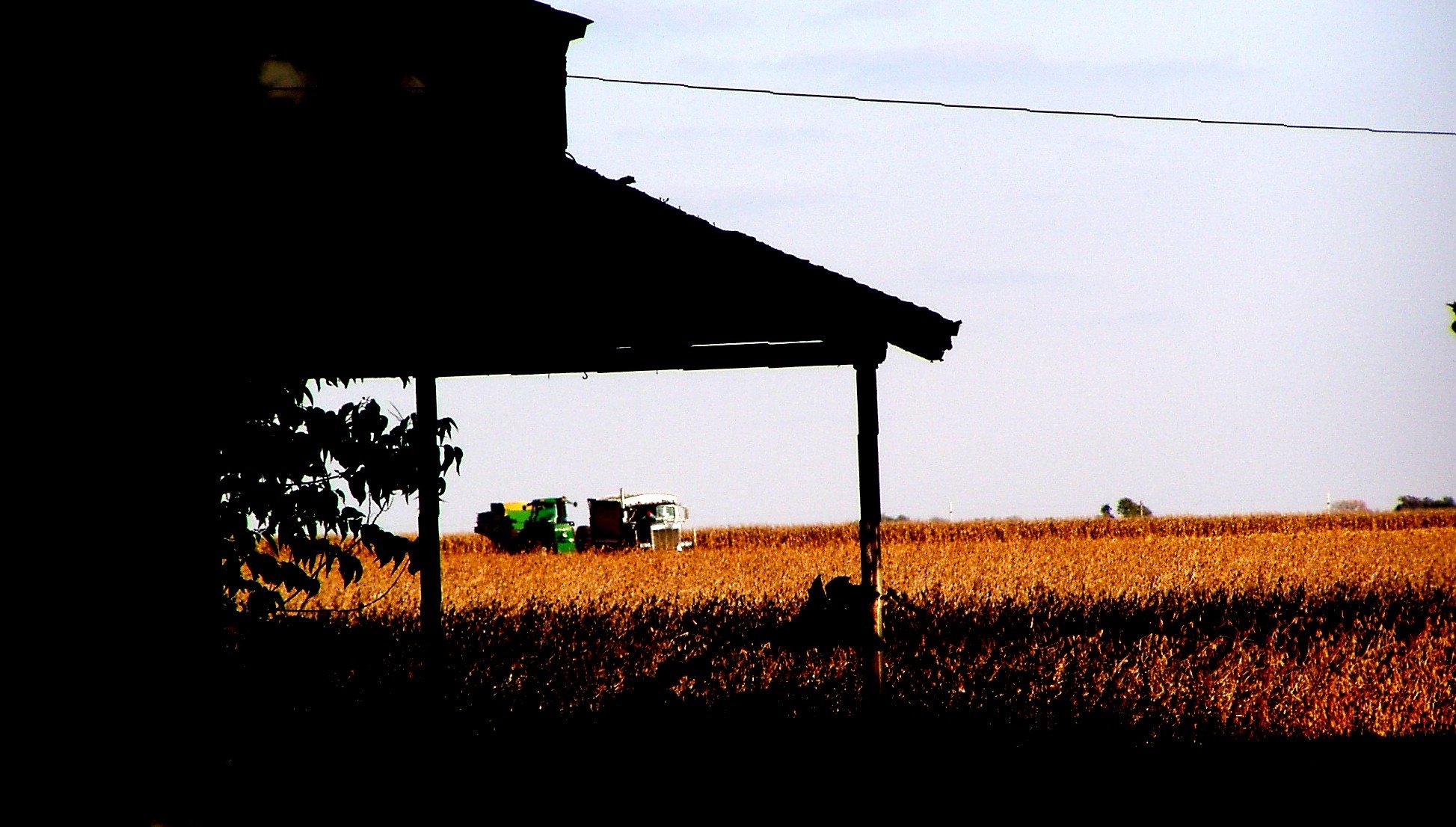 Harvest Time