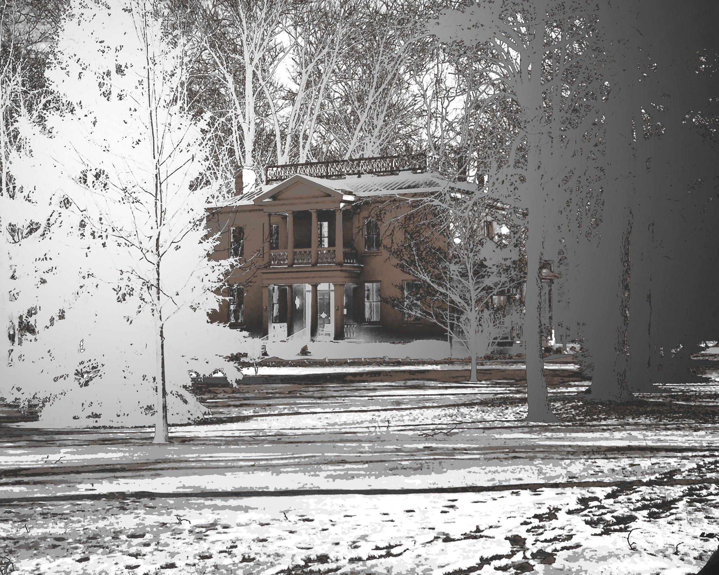 Ice Mansion