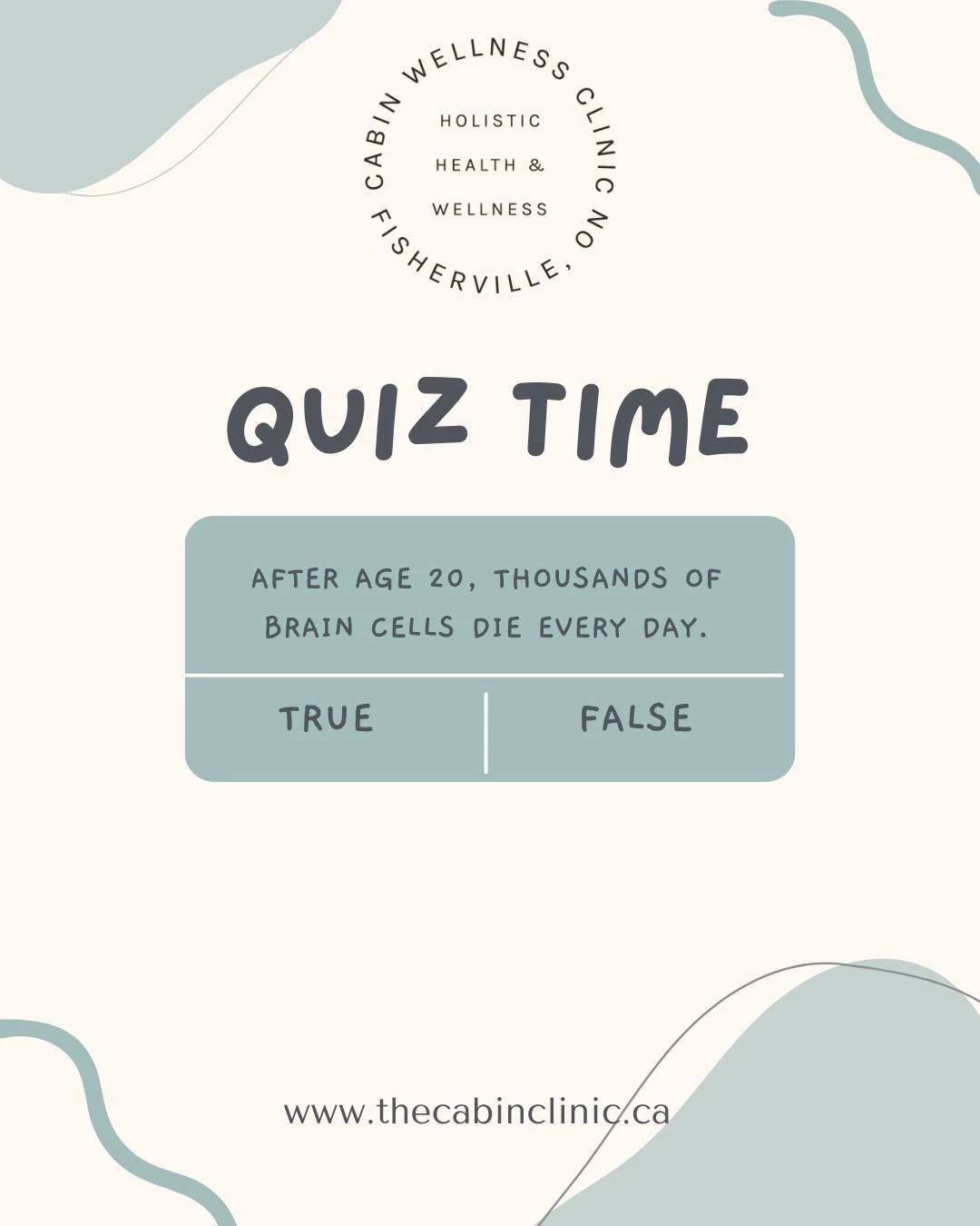 Answer: Mostly false.

While some neurons naturally die over time, modern neuroscience shows the brain is far more resilient and adaptable than we once believed. Through neuroplasticity, it continues forming new connections&mdash;and even new neurons
