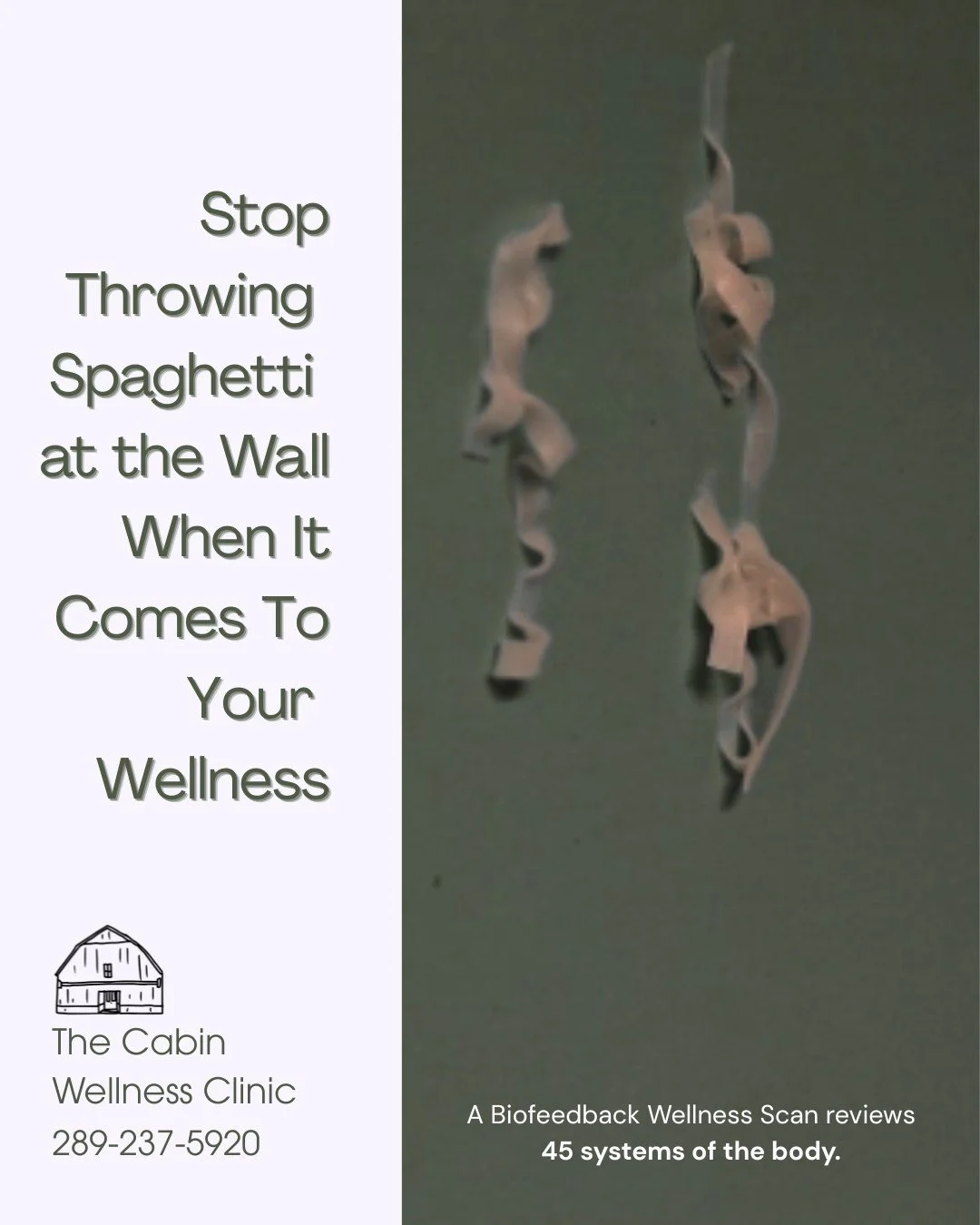 When it comes to wellness, many people end up throwing spaghetti at the wall &mdash; trying supplements, diets, or wellness routines and hoping something sticks. 🍝

A Biofeedback Wellness Scan can offer a different approach. This scan reviews 45 sys