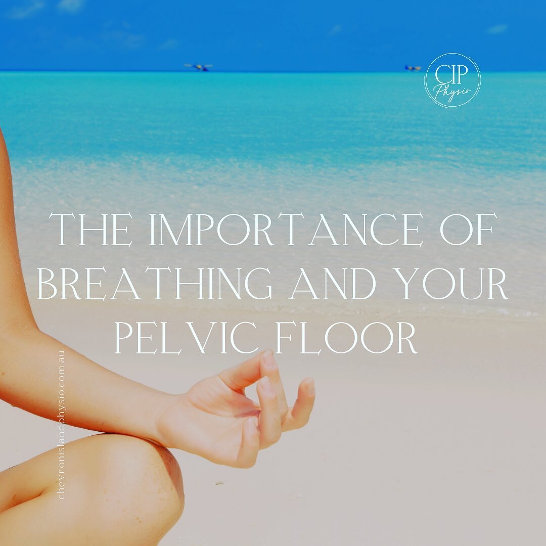 🌟 Wisdom Wednesday 🌟

Did you know the way you breathe can have a significant impact on your pelvic floor? Imagine this set of muscles as a hammock cradling your inner organs - it's in tune with every breath you take! 🌼

💡 Tip of the Day: When yo