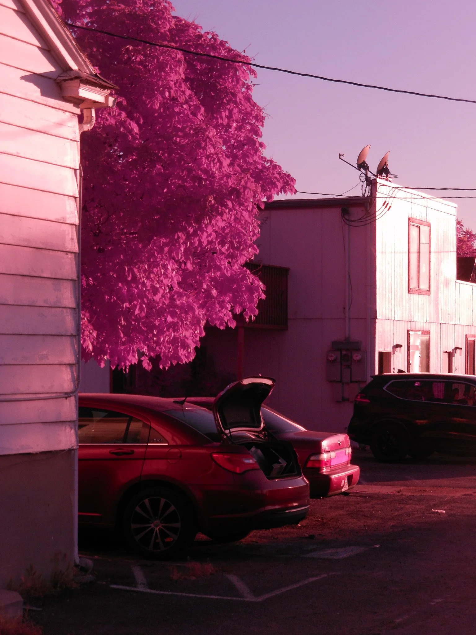 DSCN0034.jpg