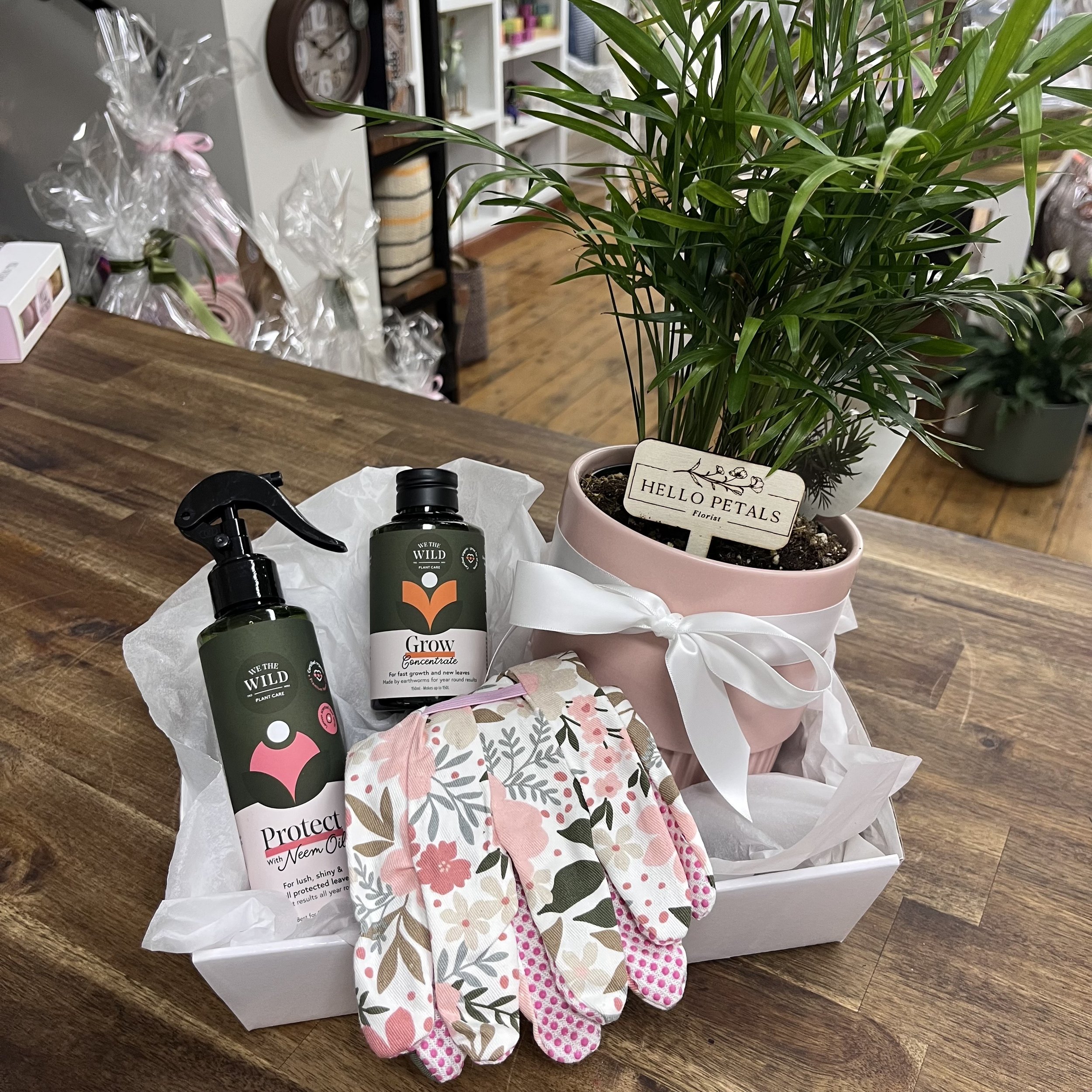 The Plant Hamper