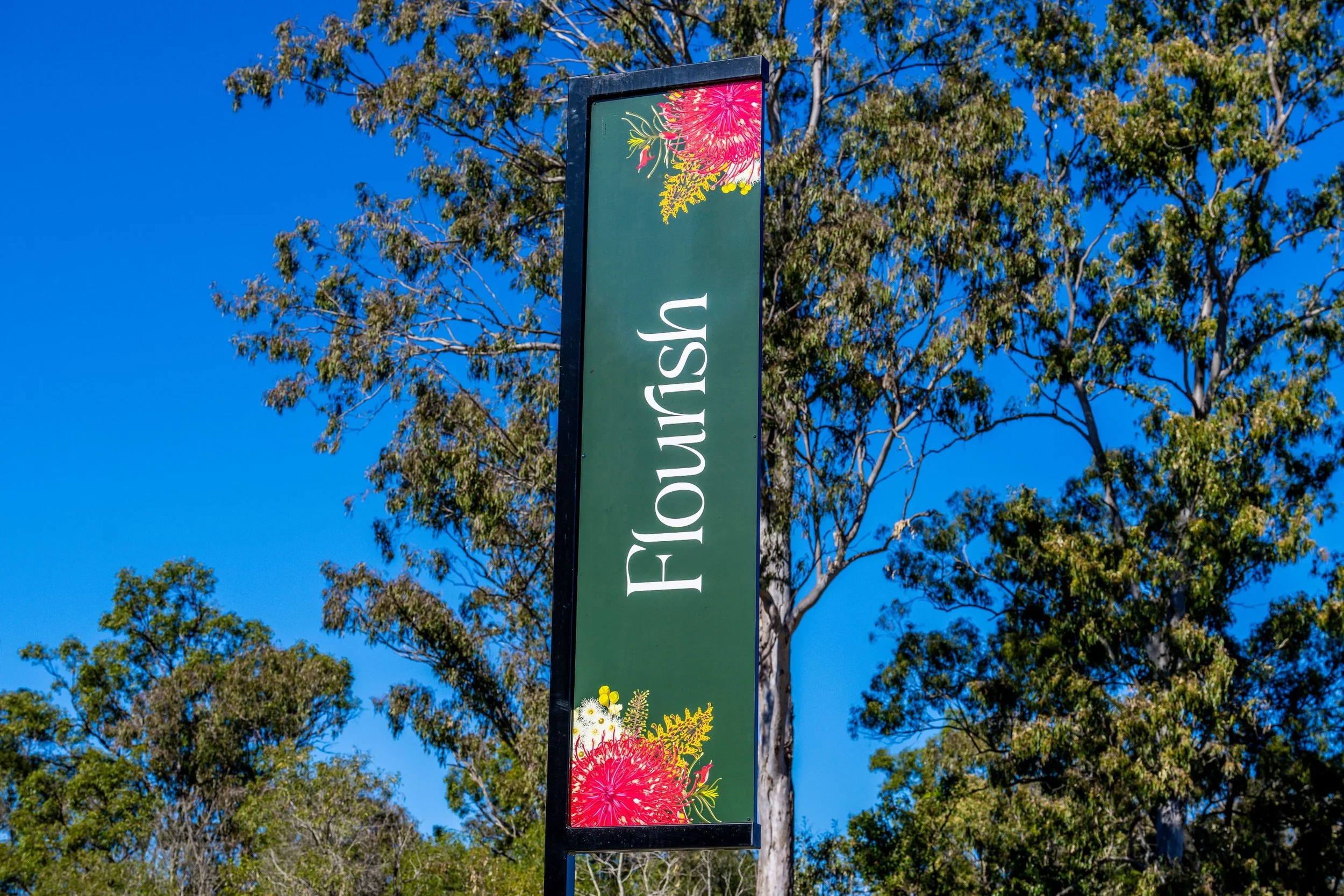 HexFlix-Flourish-PurchaserEvent-2024-05691.jpg