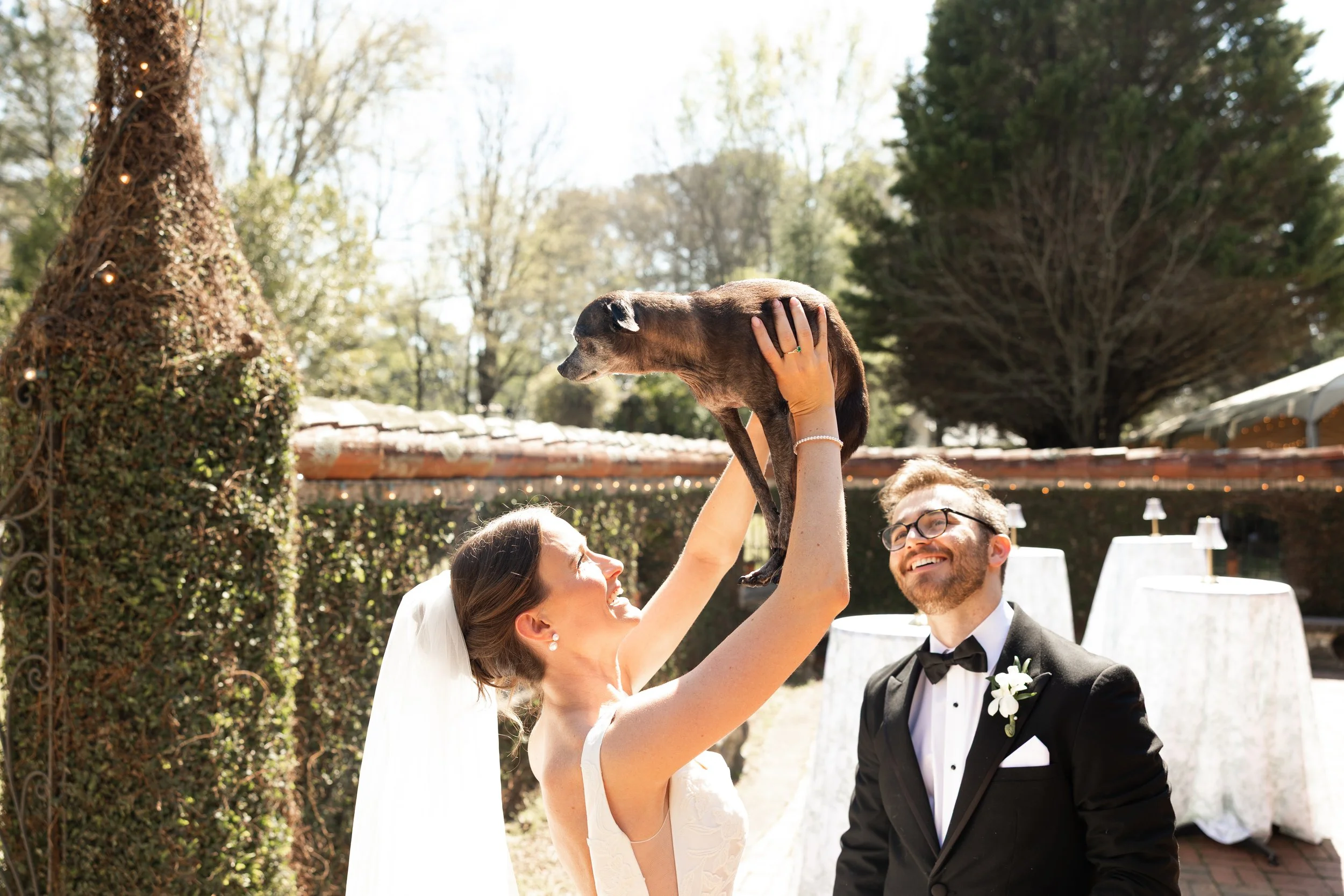 Pets Are Family. Of Course They're Invited.