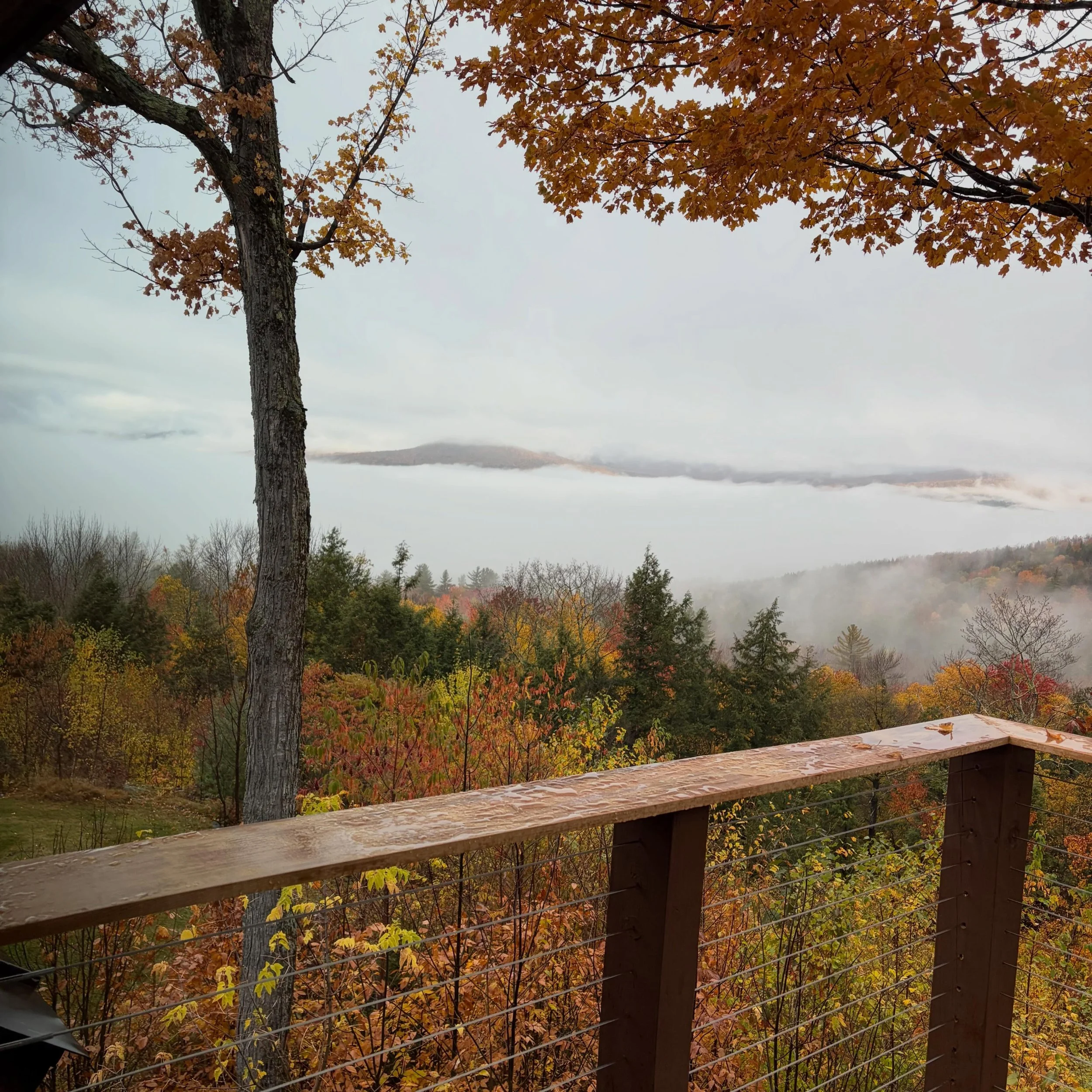 Fall is my entire personality now 😊🍁🍂💁🏻&zwj;♀️

I wanted cozy cabin vibes for our anniversary so  we found a perfect Airbnb (I&rsquo;ll share soon because it&rsquo;s incredible 😍) and we are getting good at slowing down 🙏🏼 Vermont is stunning