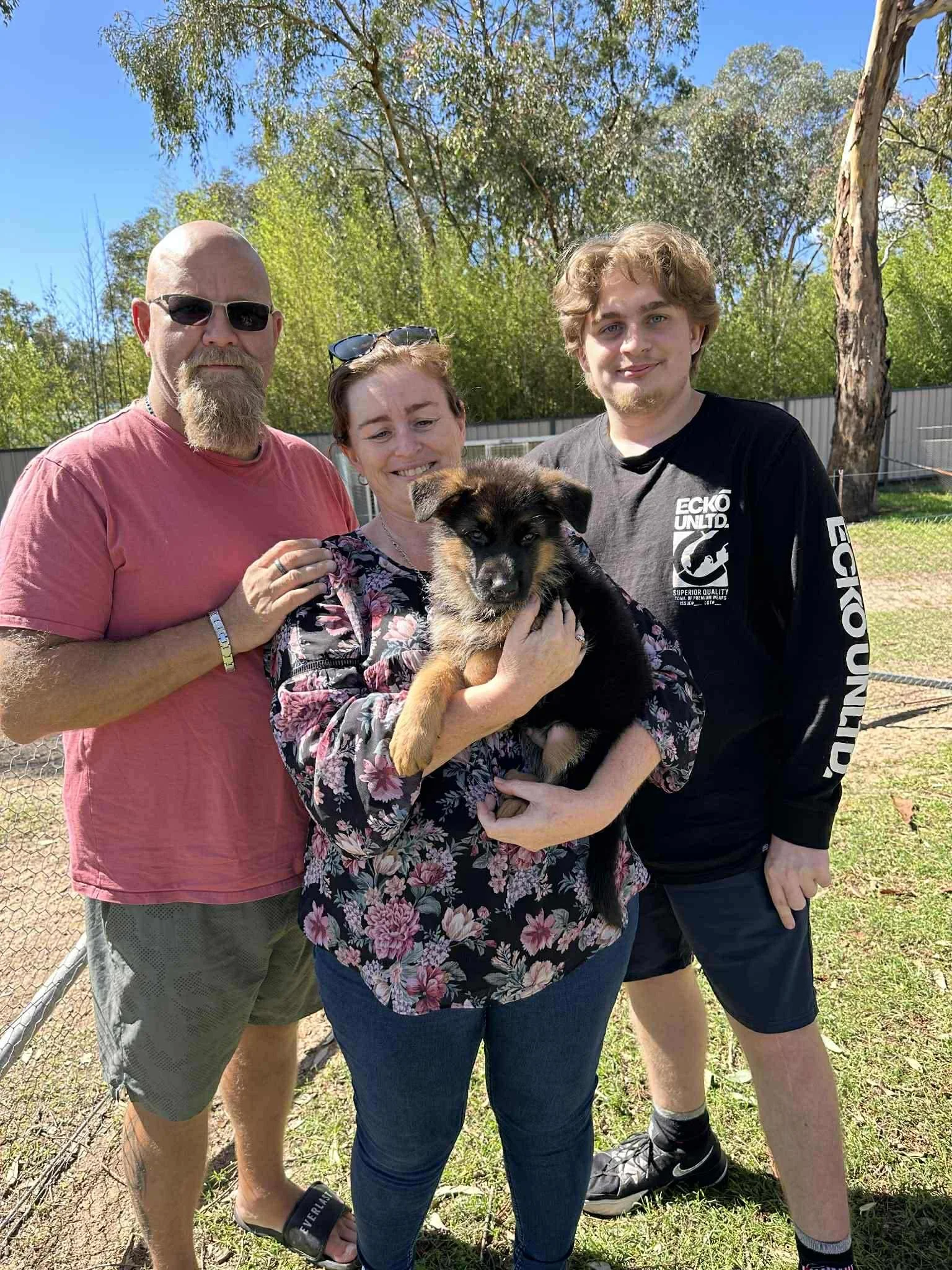 Lagerfeldt Extra Spesh (red collar boy) off to the Mid North Coast with his new family