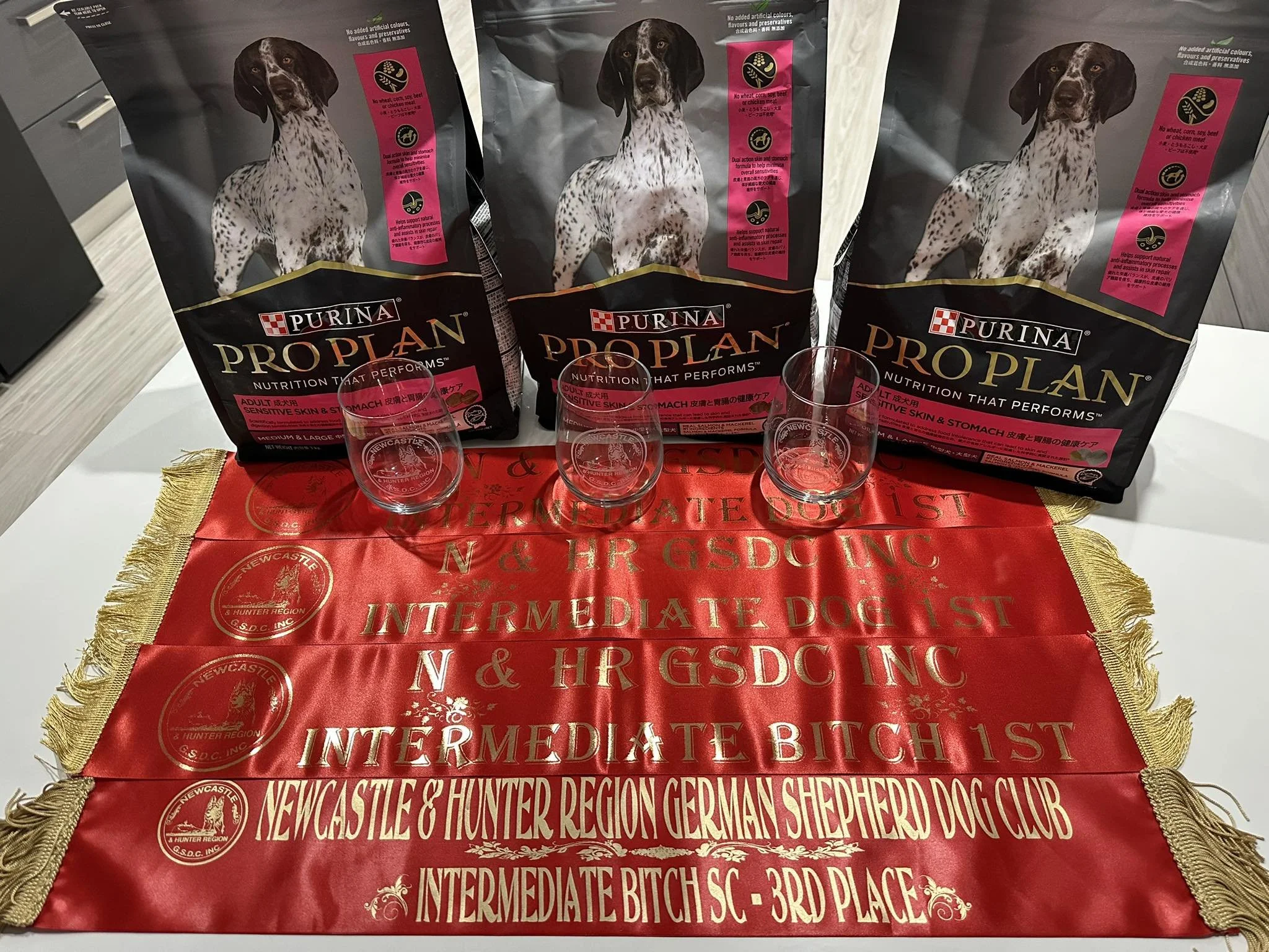 Newcastle &amp; Hunter Region German Shepherd Dog Club double Championship shows