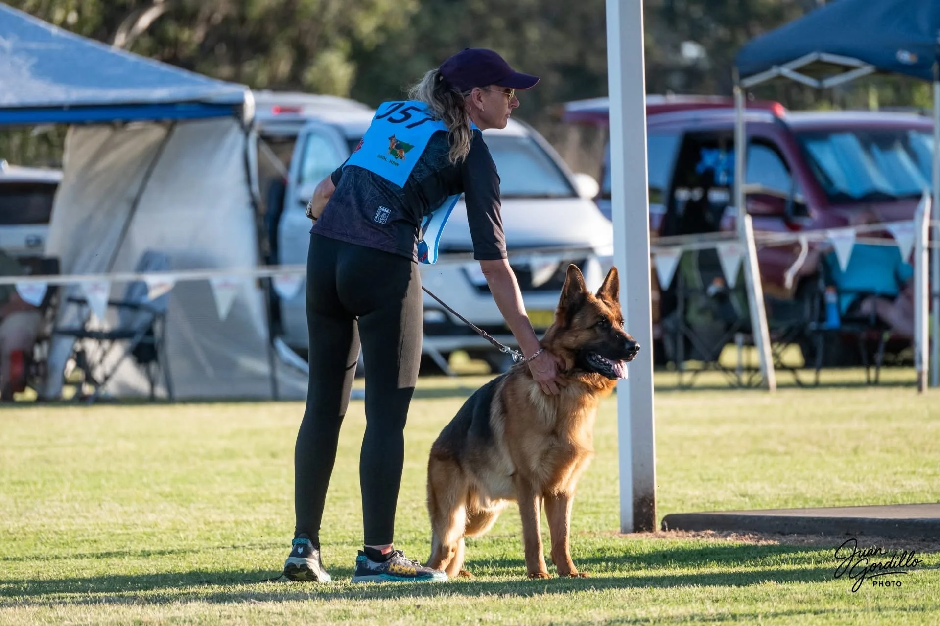 GSDL Championship Show &amp; Members Competition in Sydney