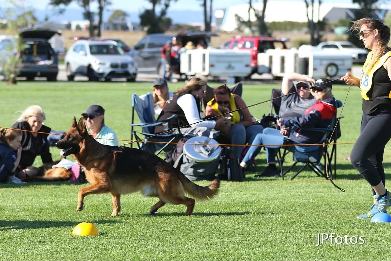 Melbourne Champ Show